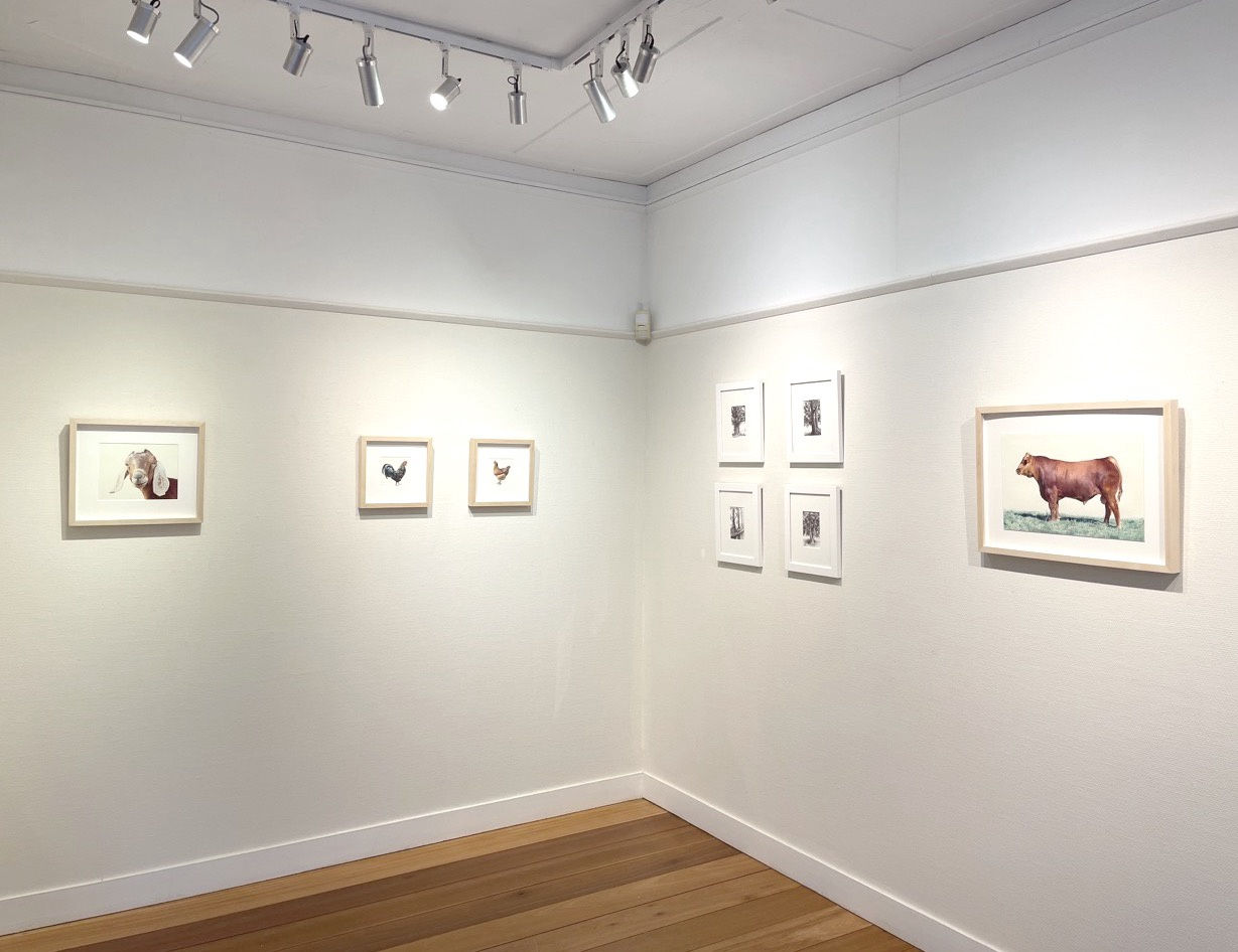 Nicolas V. Sanchez & Dina Brodsky