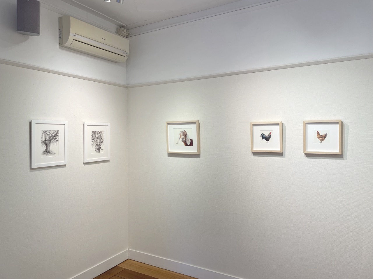 Nicolas V. Sanchez & Dina Brodsky