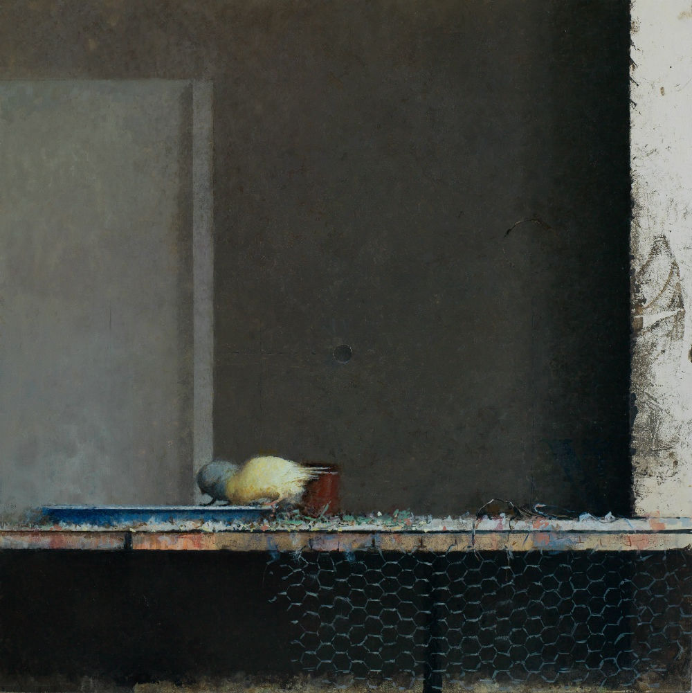 Pedro Escalona - Pájaros I - 2018 - Olieverf op paneel - 50 x 50 cm