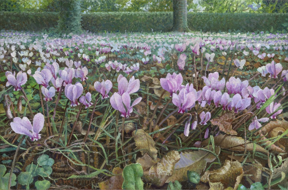 Joke Frima - Wilde Cyclamen - 2017 - Olieverf op aluminiumpaneel - 21 x 32 cm