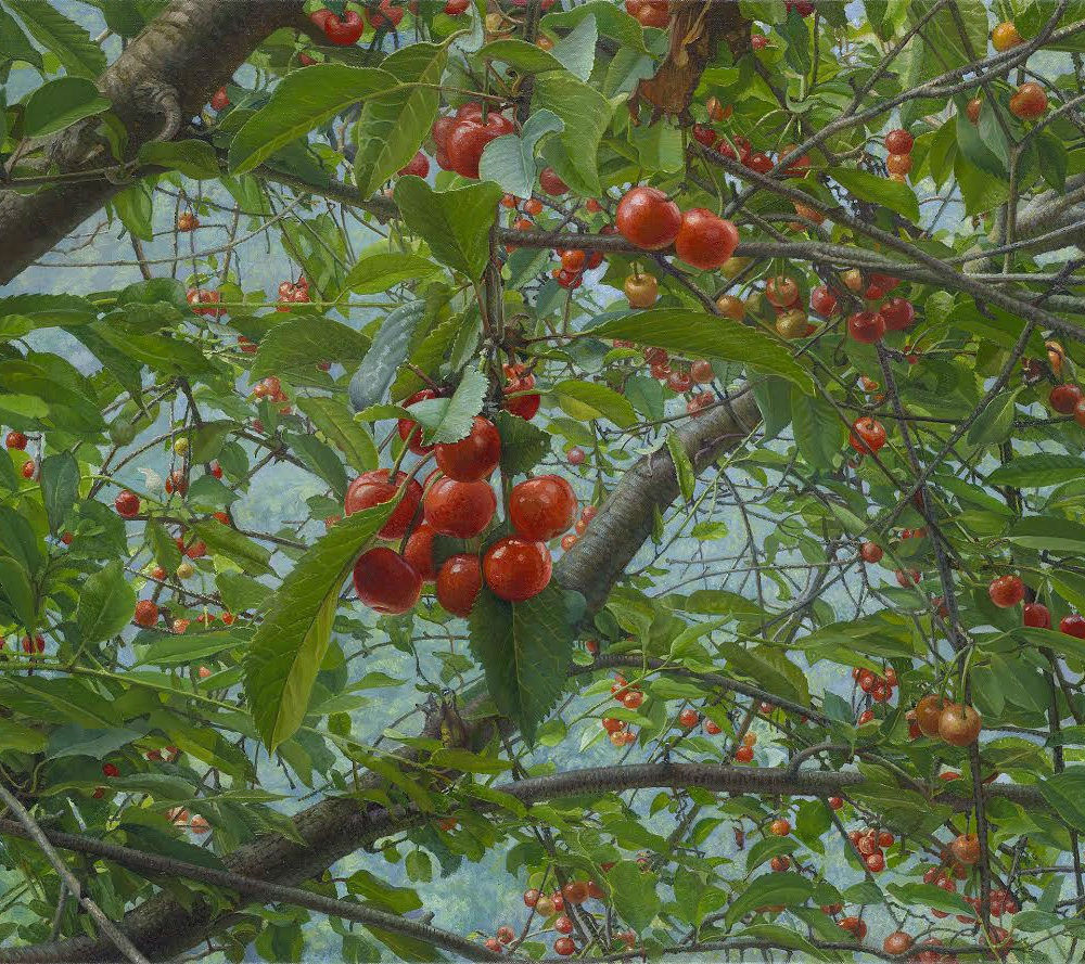 Joke Frima - Morellenboom - 2016 - olieverf op linnen - 50 x 70 cm