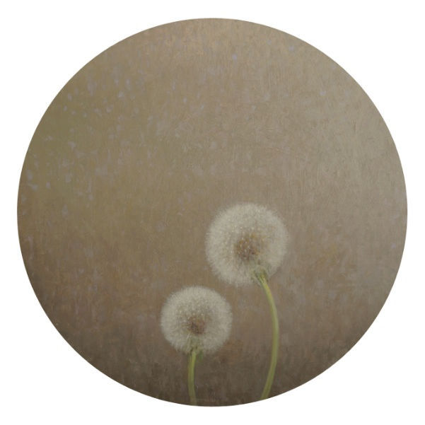 Stijn Rietman, Mei 2013, 2013