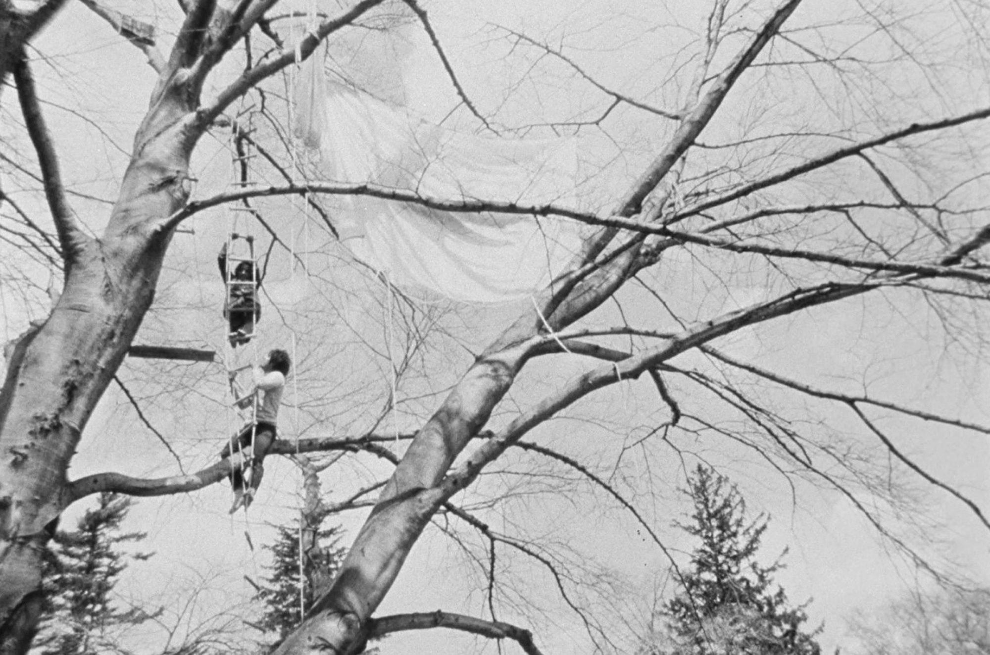 Gordon Matta-Clark Tree Dance, 1971