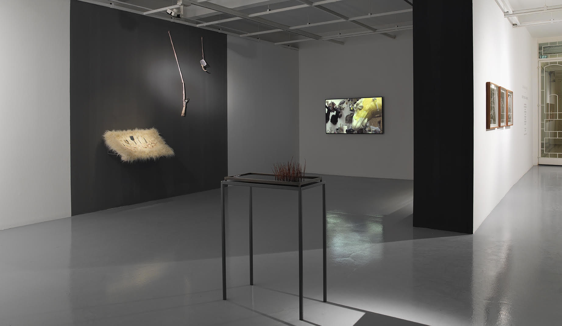 Photo: Hadiye Cangökçe