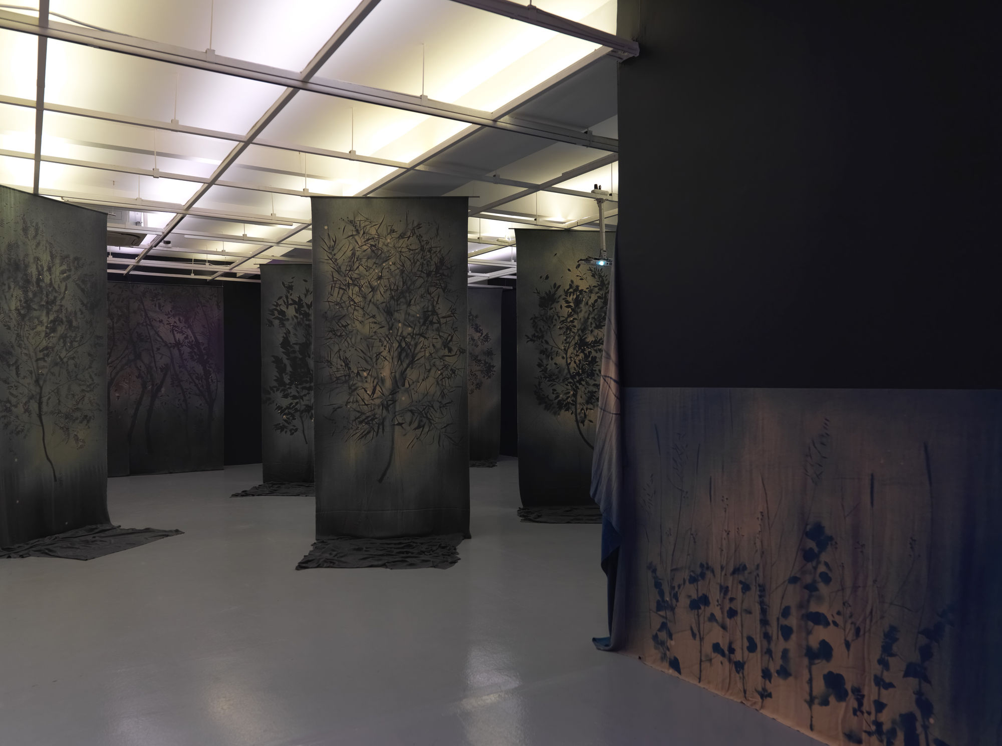 GROWING WITH THE WIND