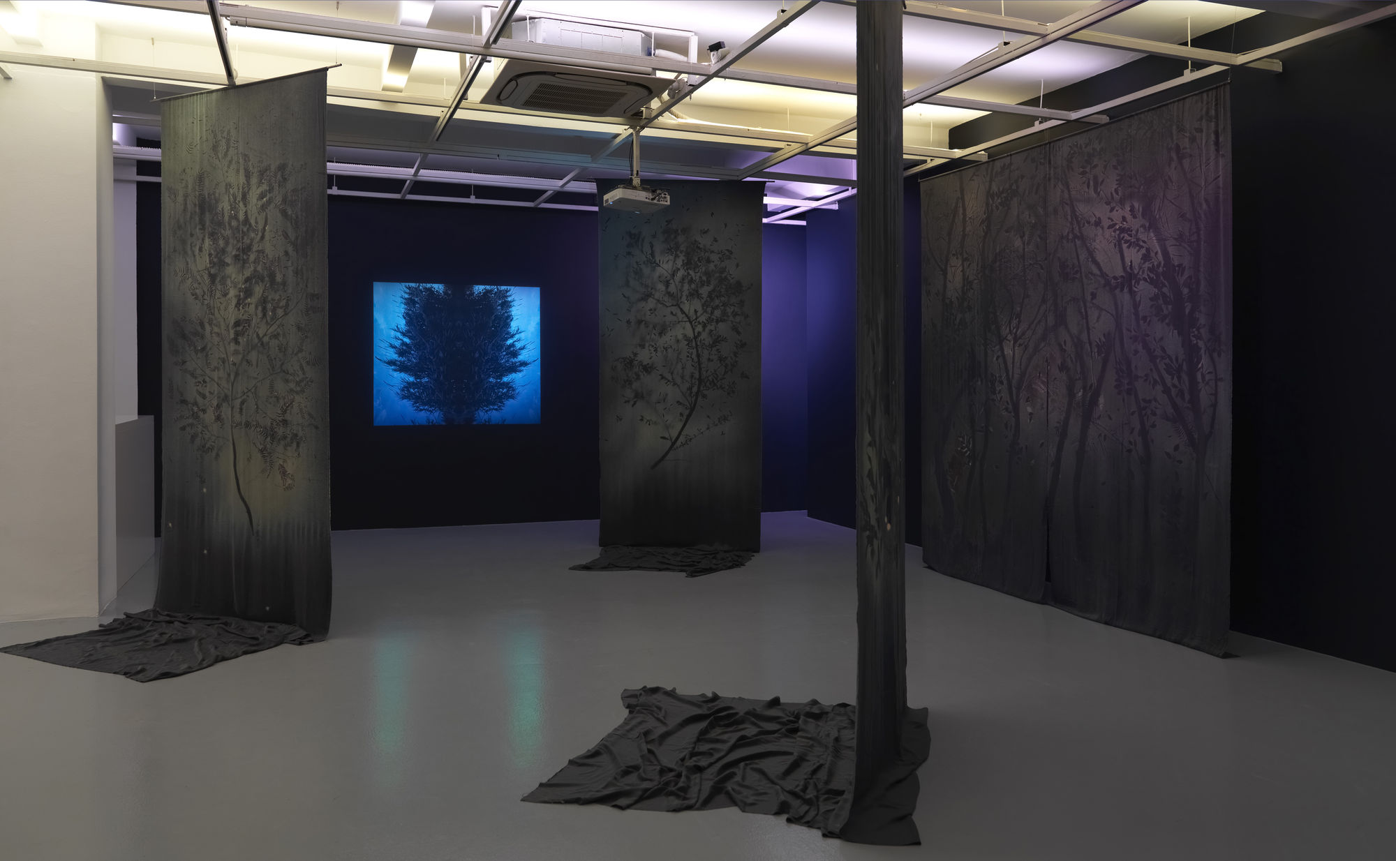 GROWING WITH THE WIND