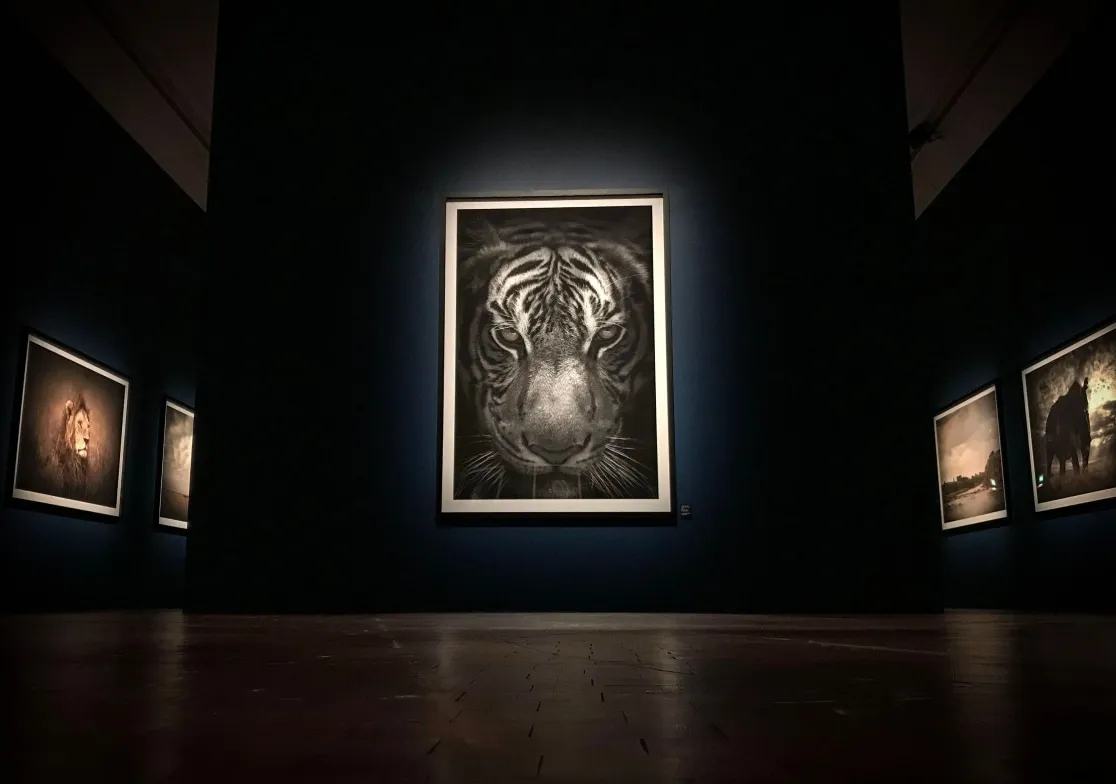 Naturhistoriska Riksmuseet, Stockholm, 2020