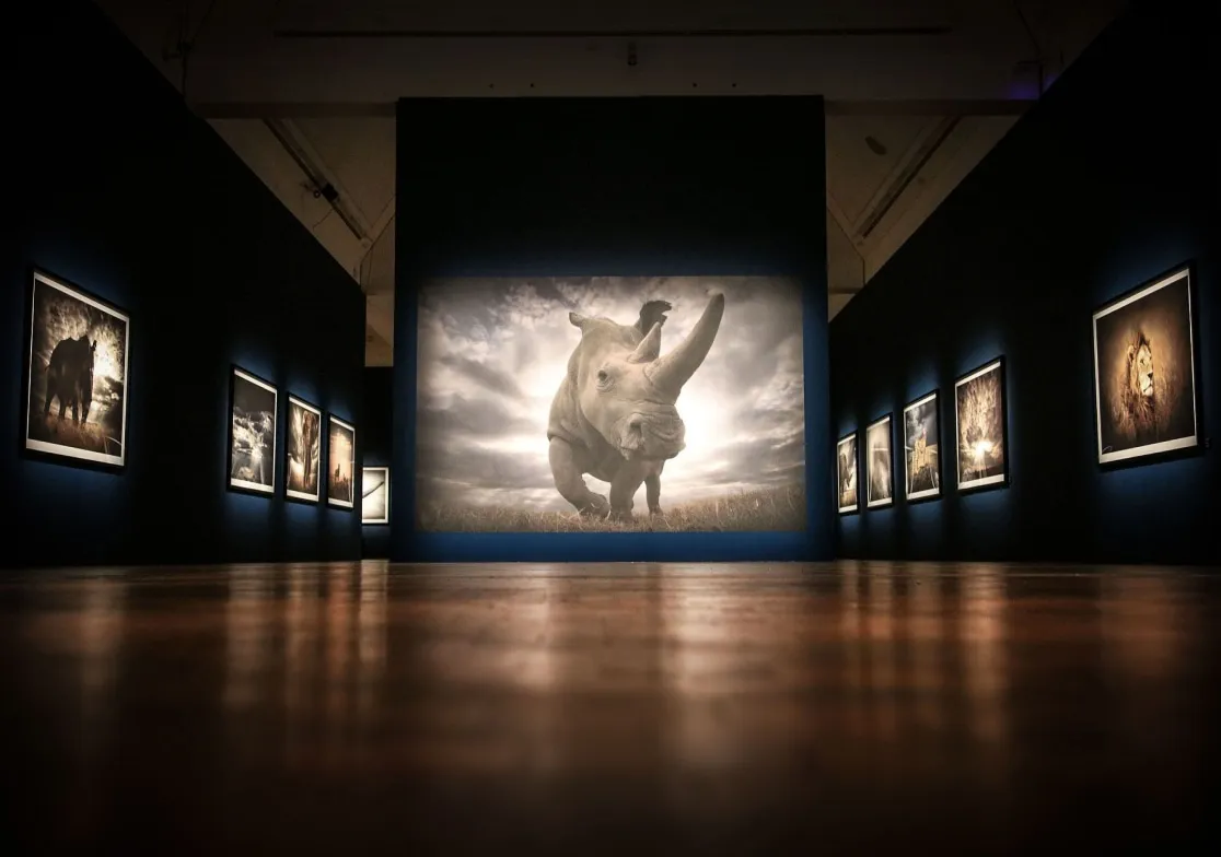 Naturhistoriska Riksmuseet, Stockholm, 2020