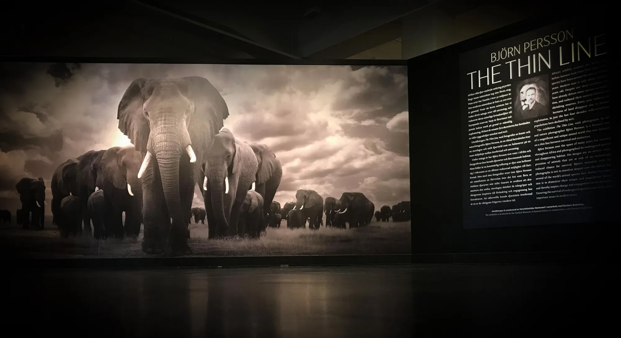 Naturhistoriska Riksmuseet, Stockholm, 2020