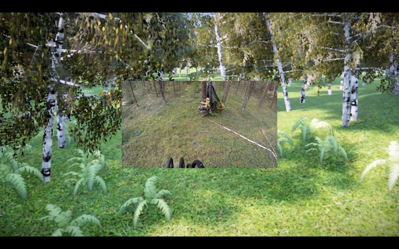 Peter Barnard, 'Forest', (2016) video.