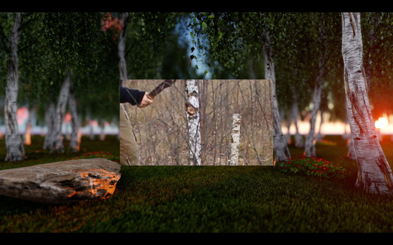 Peter Barnard, 'Forest', (2016) video.