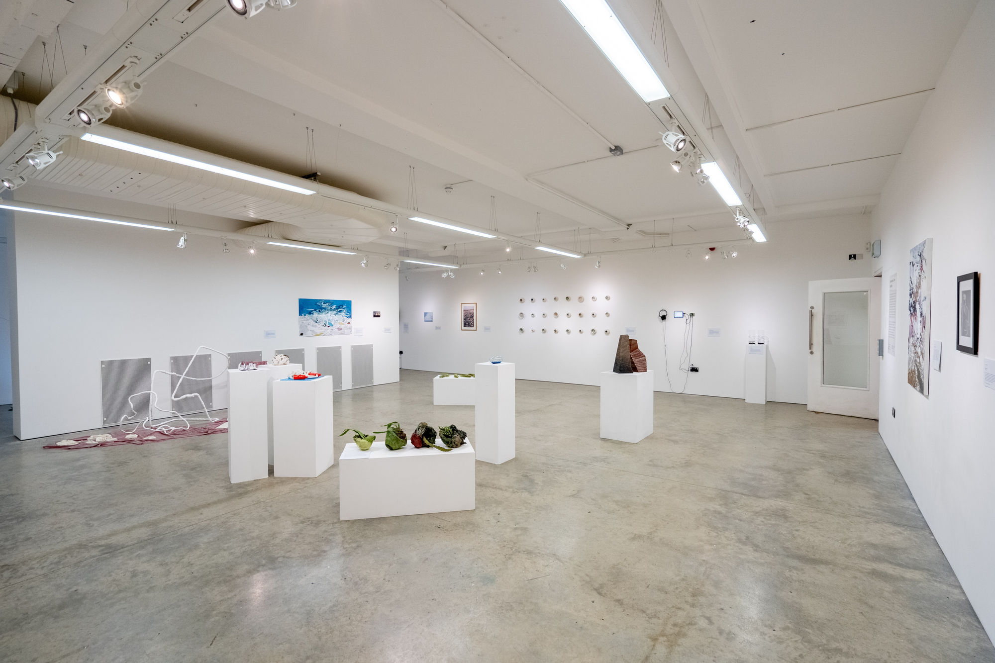 Environmental Crisis