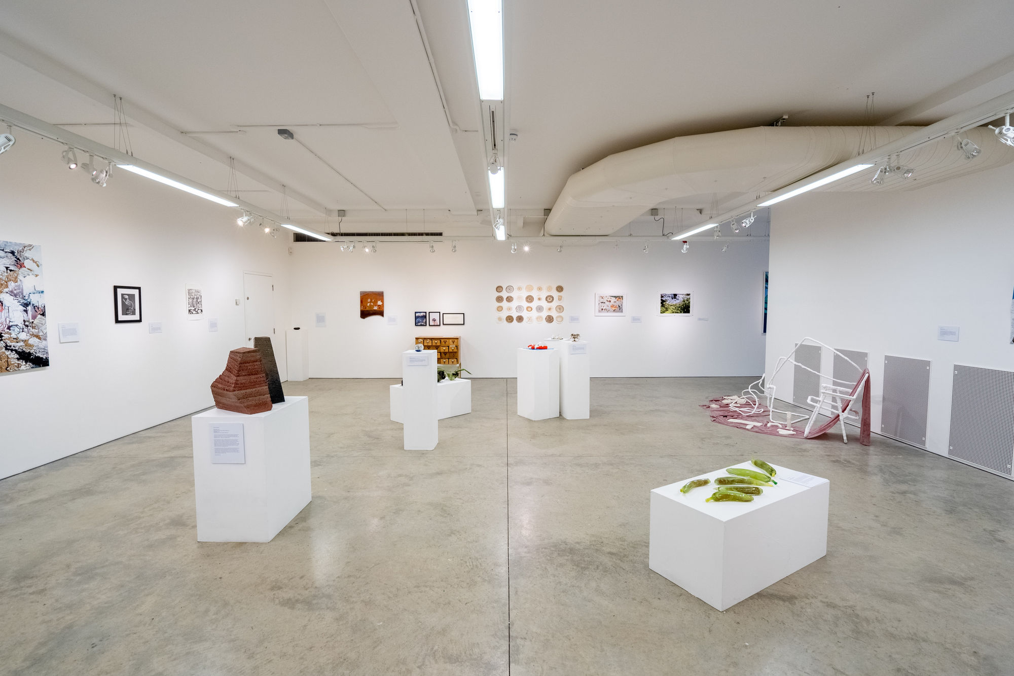 Environmental Crisis