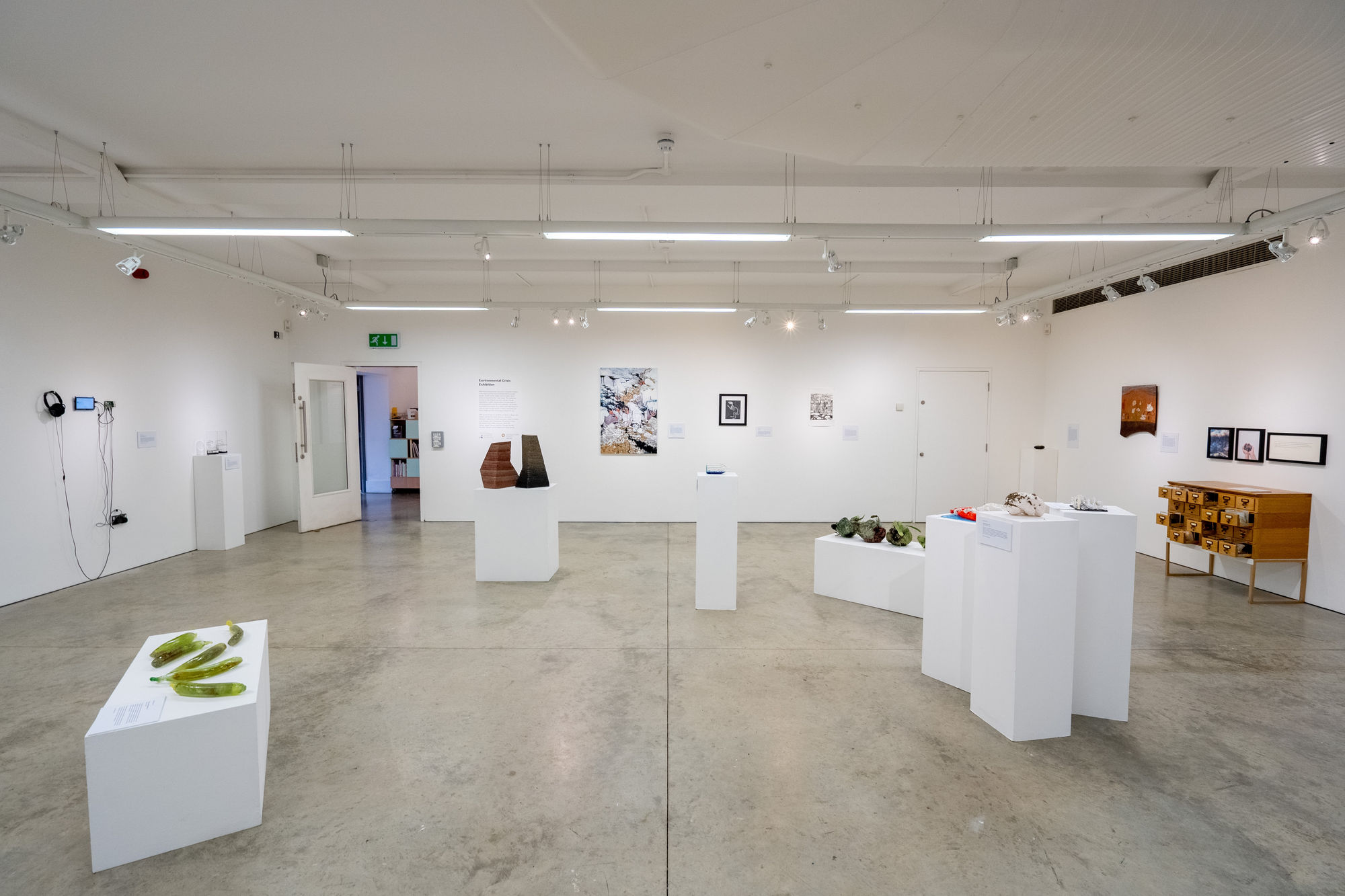 Environmental Crisis