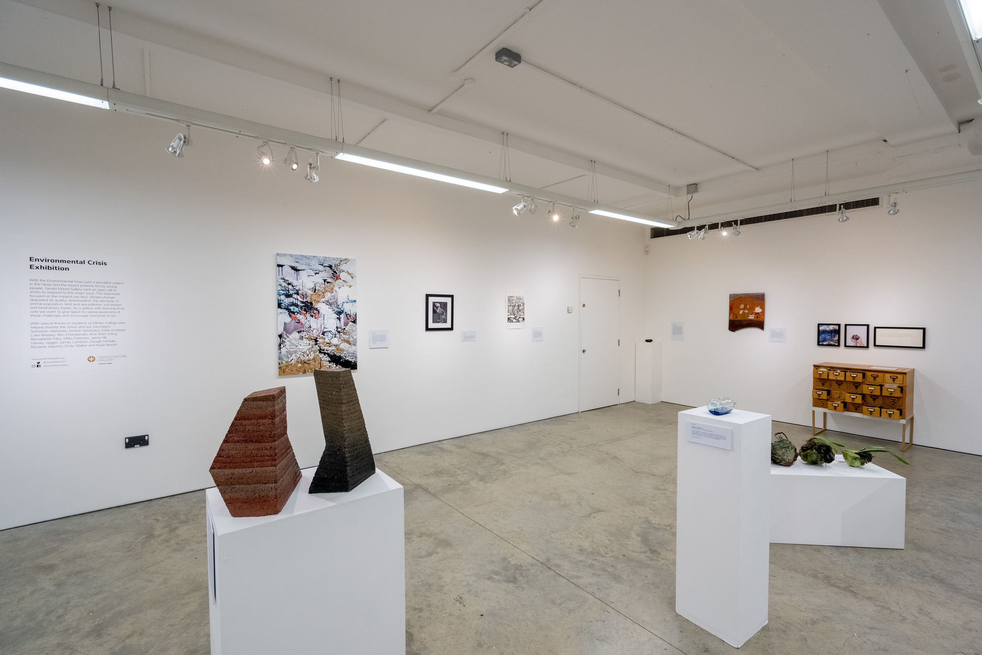 Environmental Crisis