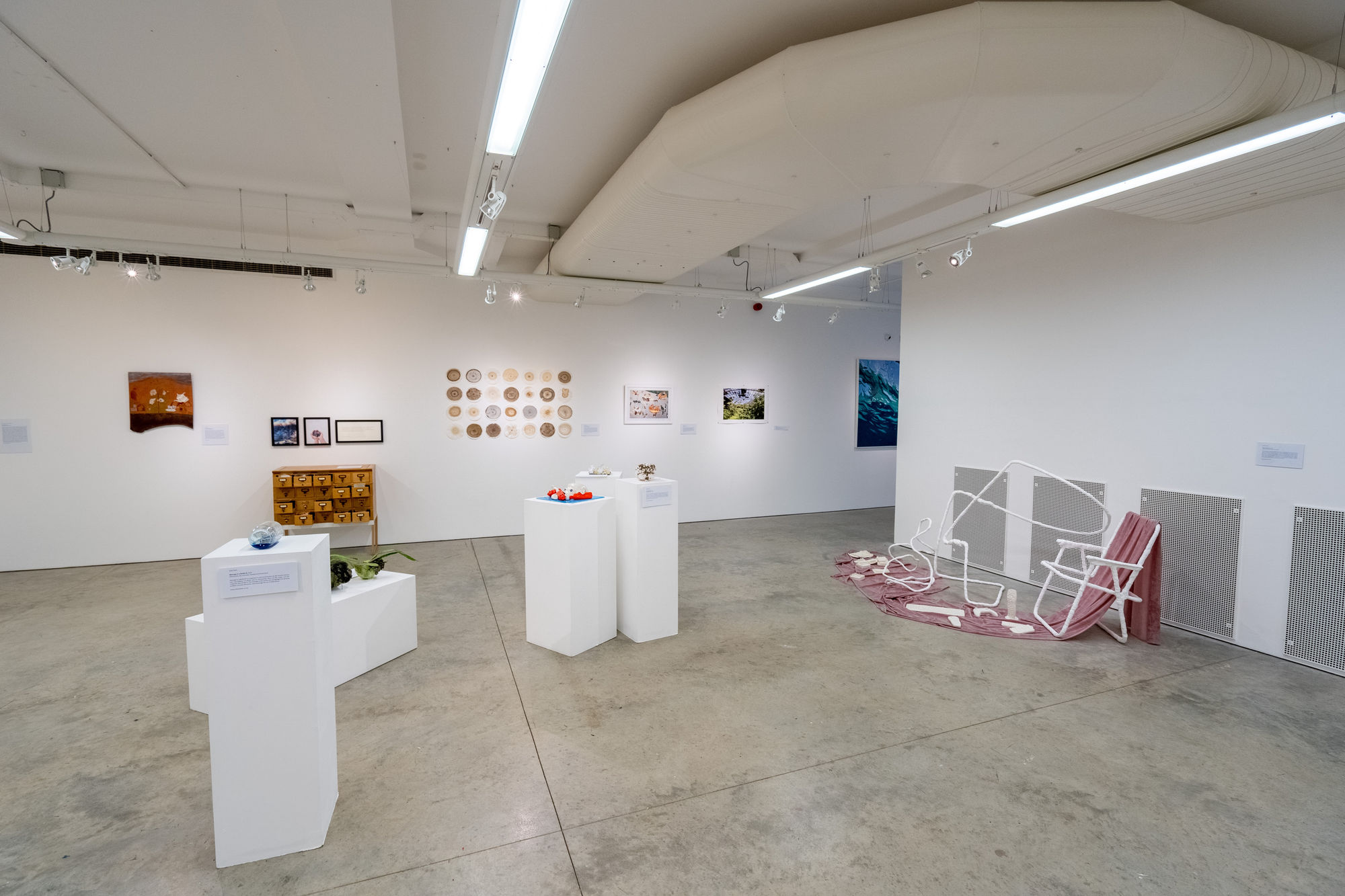 Environmental Crisis