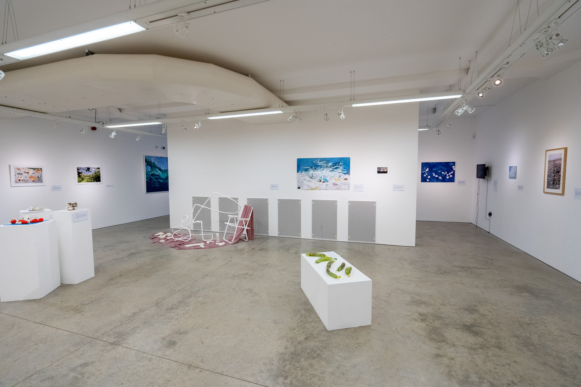 Environmental Crisis