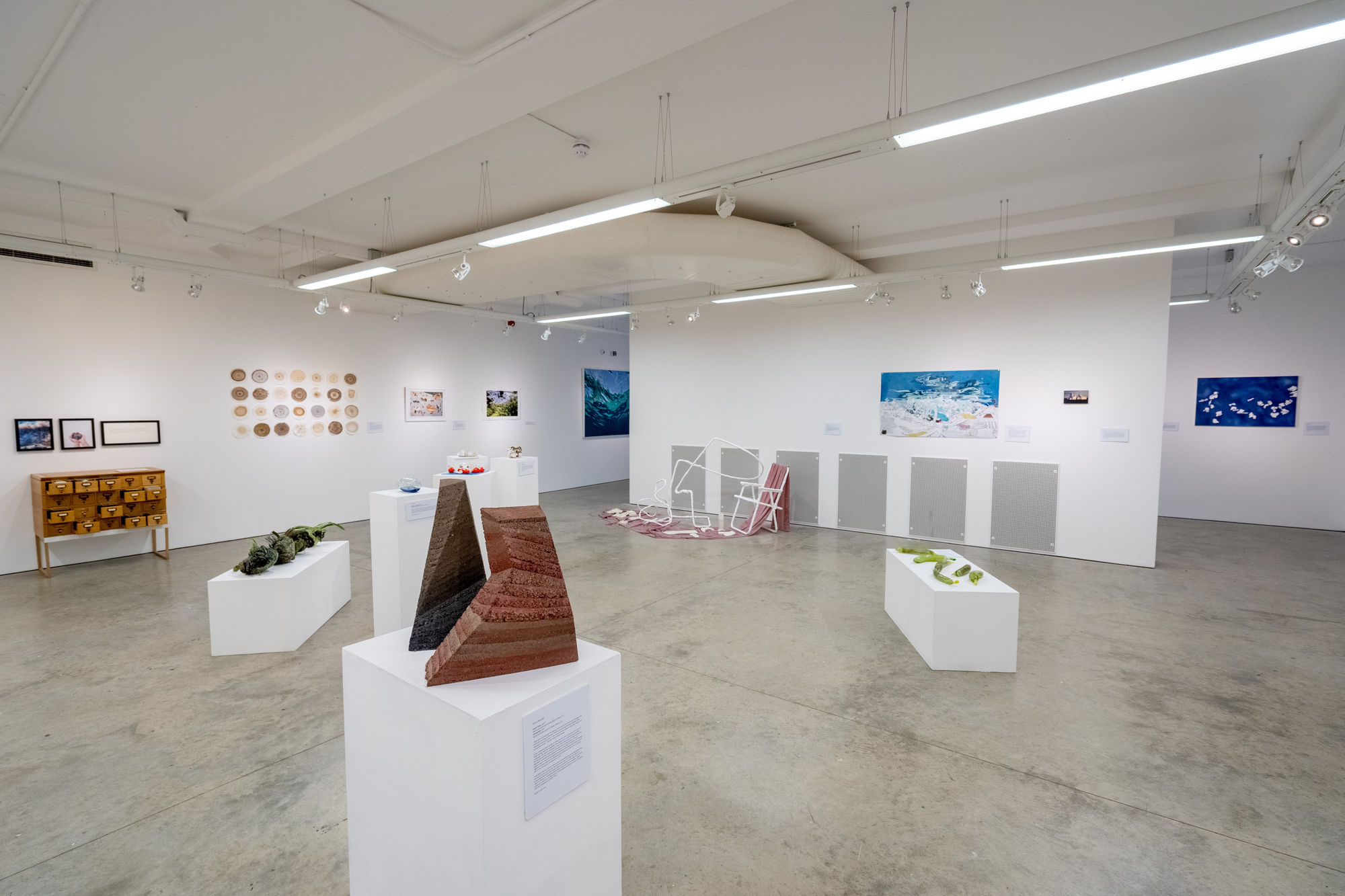 Environmental Crisis