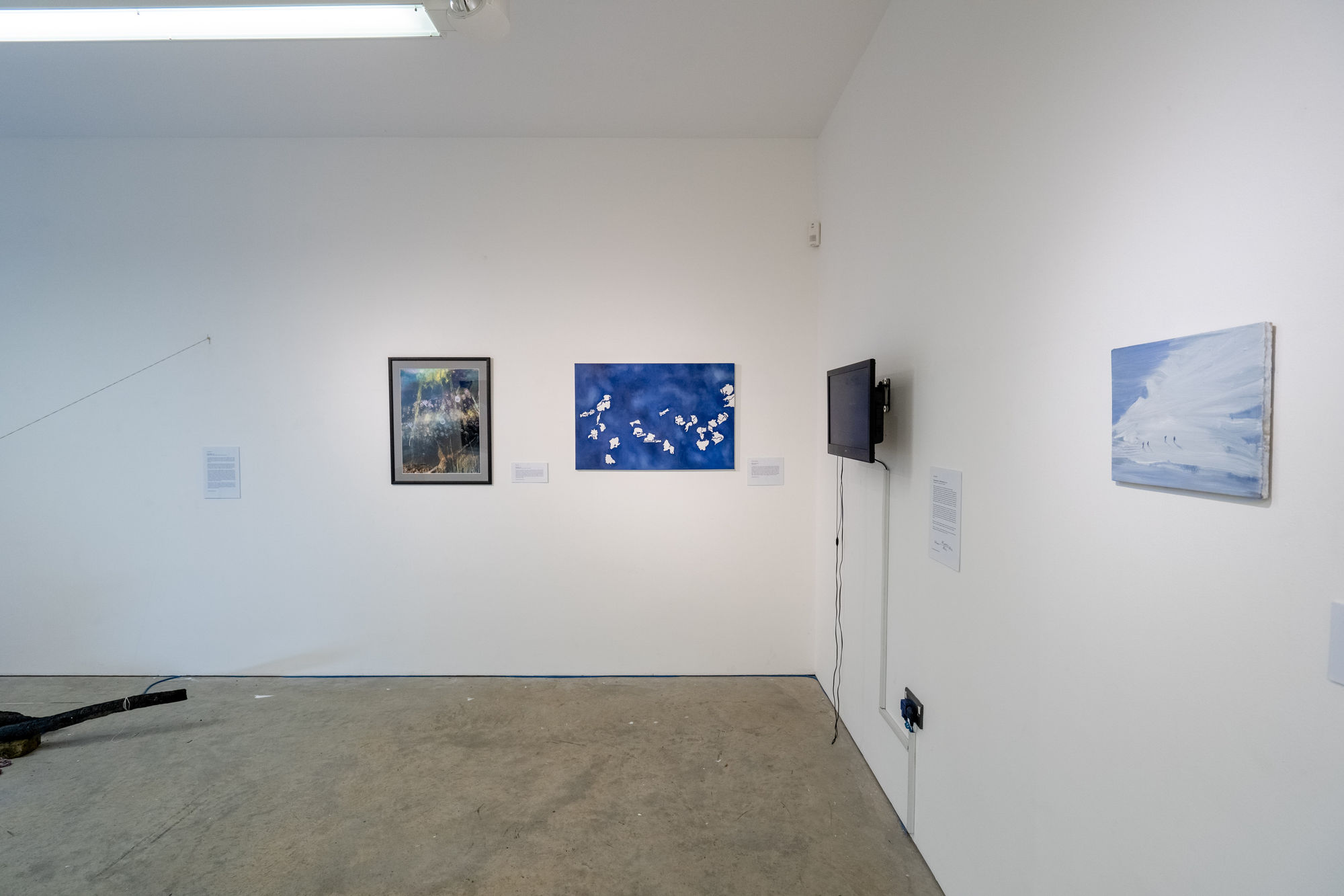 Environmental Crisis