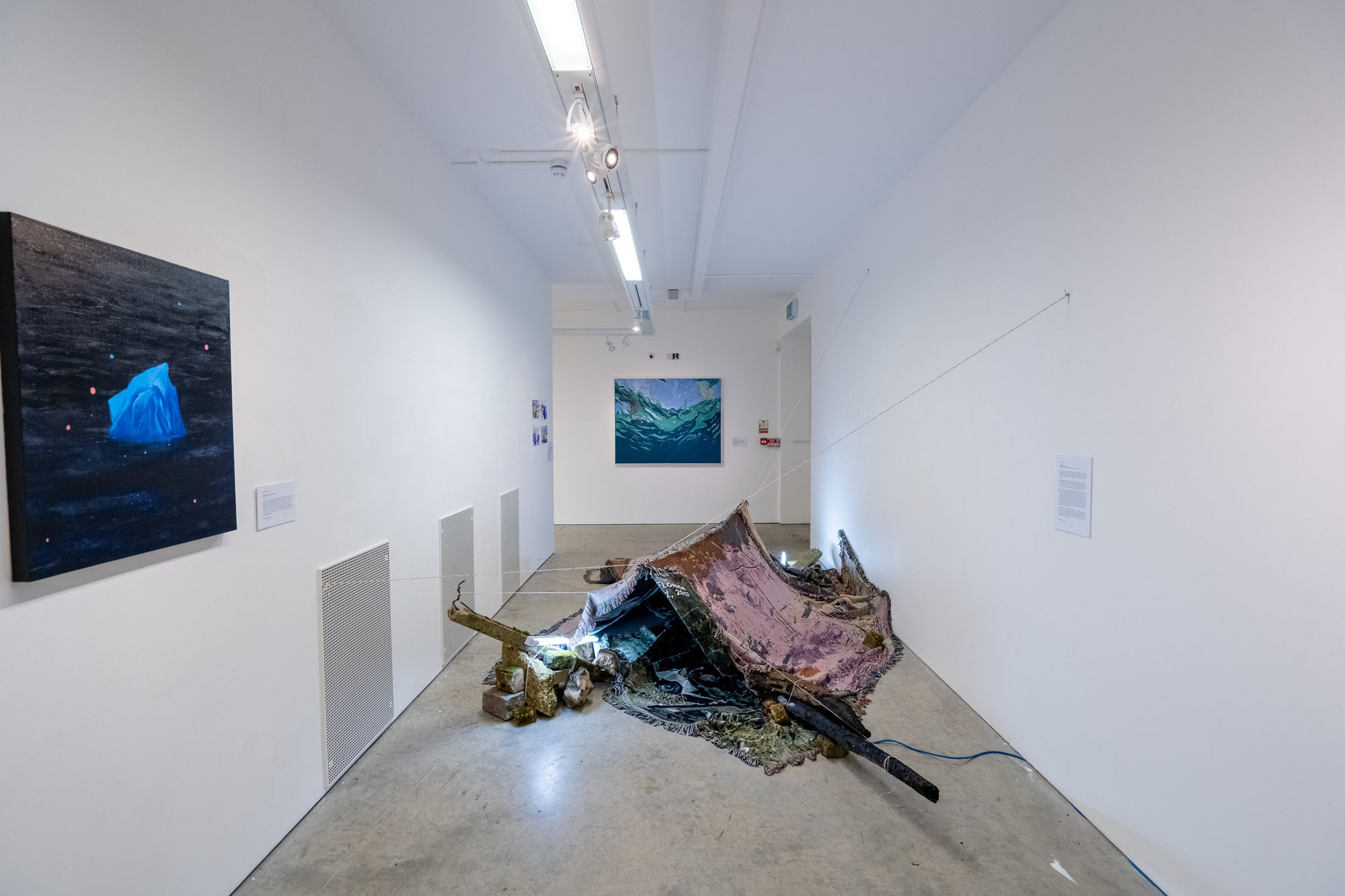 Environmental Crisis