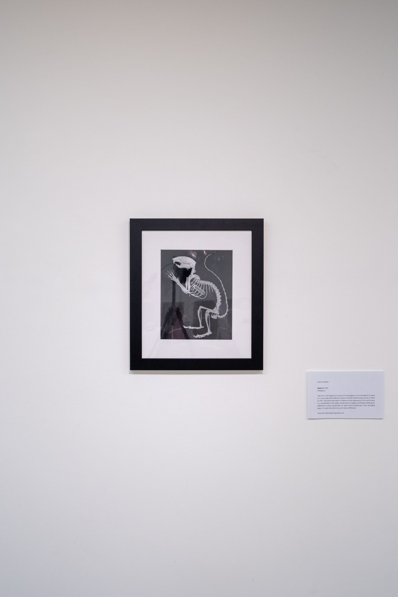 Leanne Davies 'Squirrel'