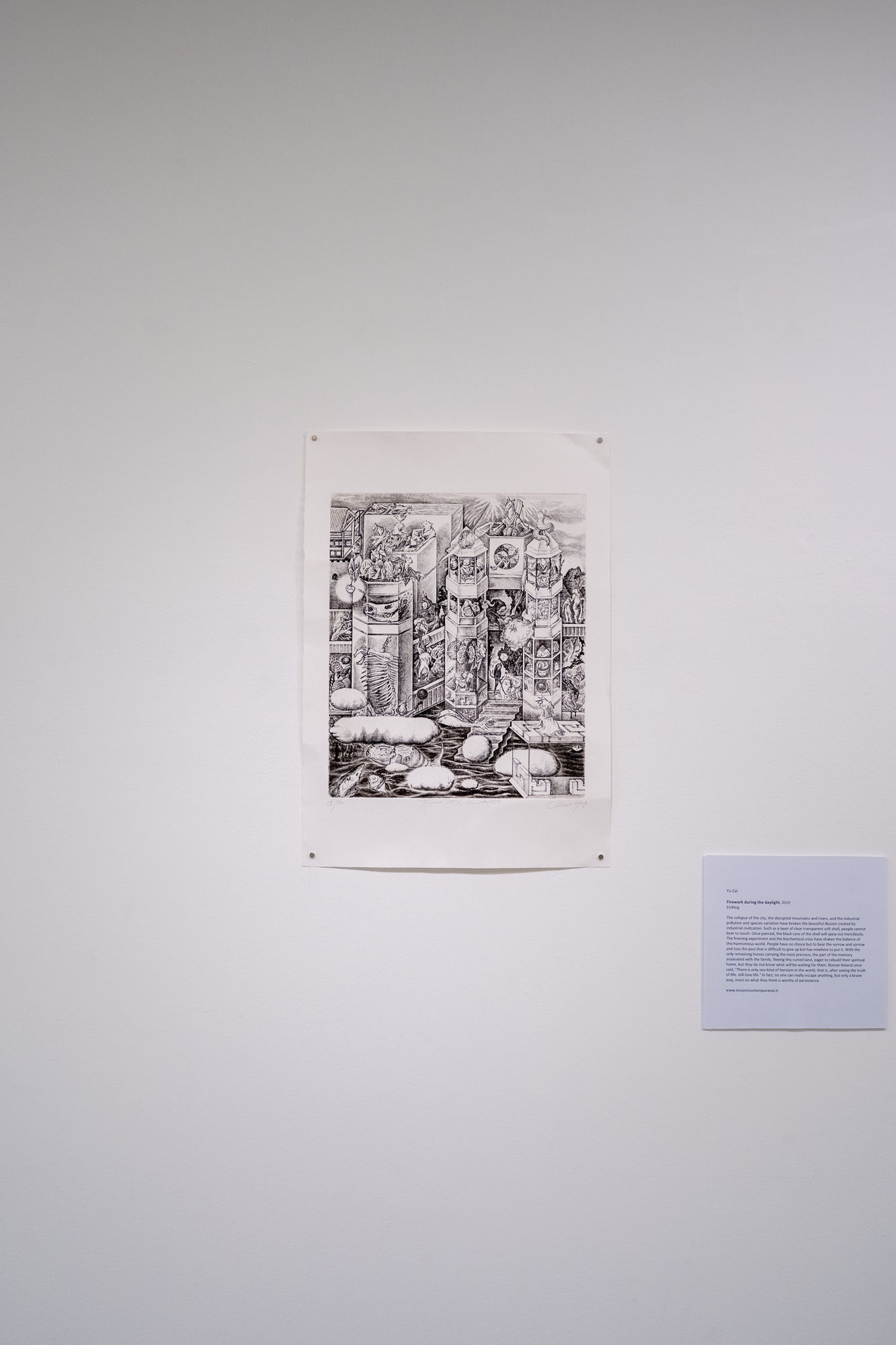 Yu Cai 'Firework during the daylight'