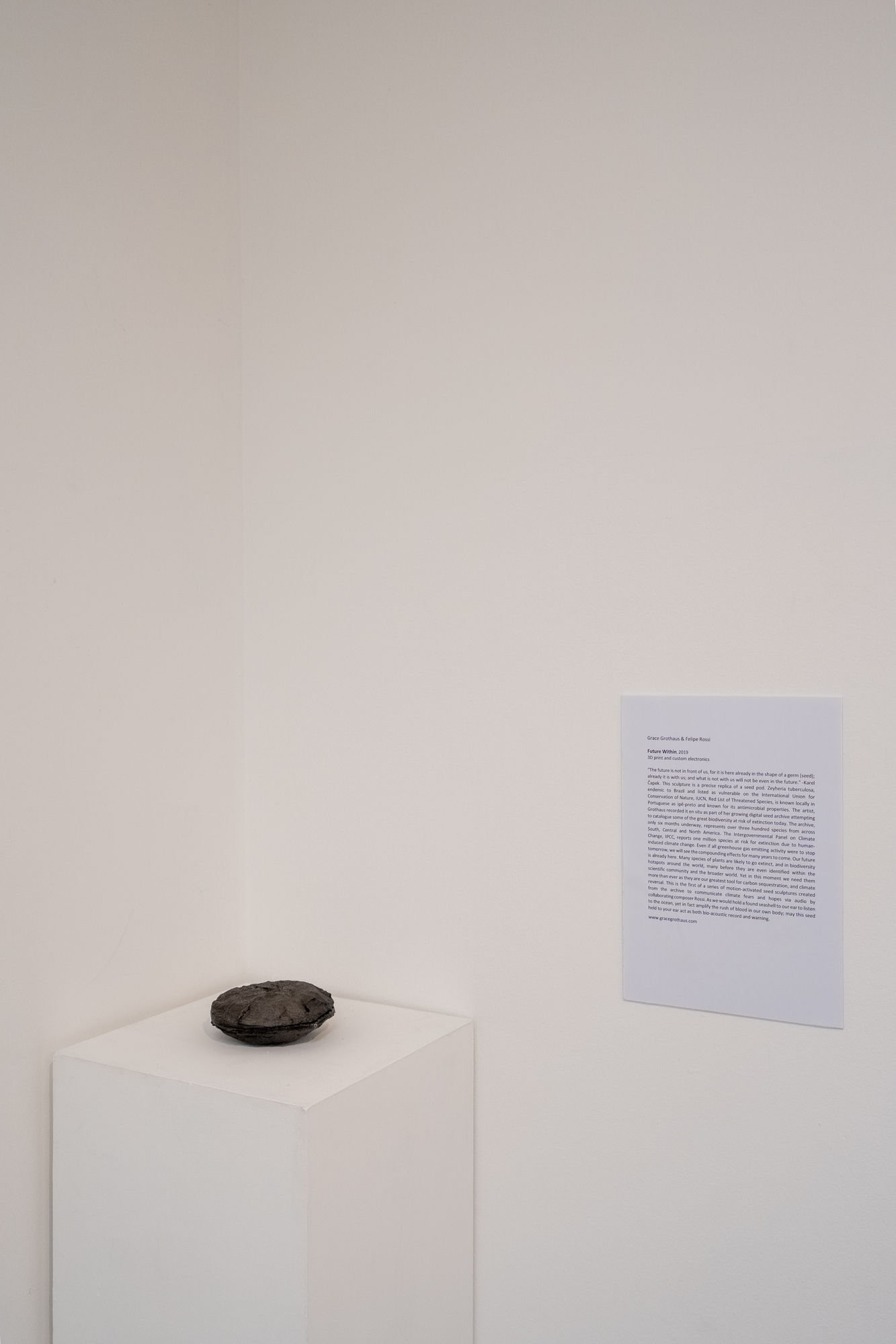 Grace Grothus & Felipe Rossi Future Within