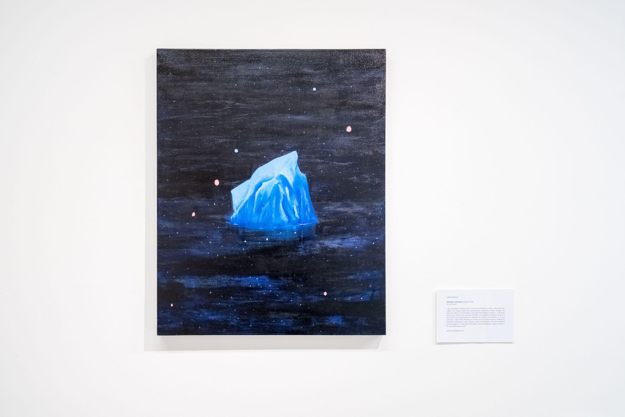 Sylvia Wadsley 'Hot Spot, Cold Spot'