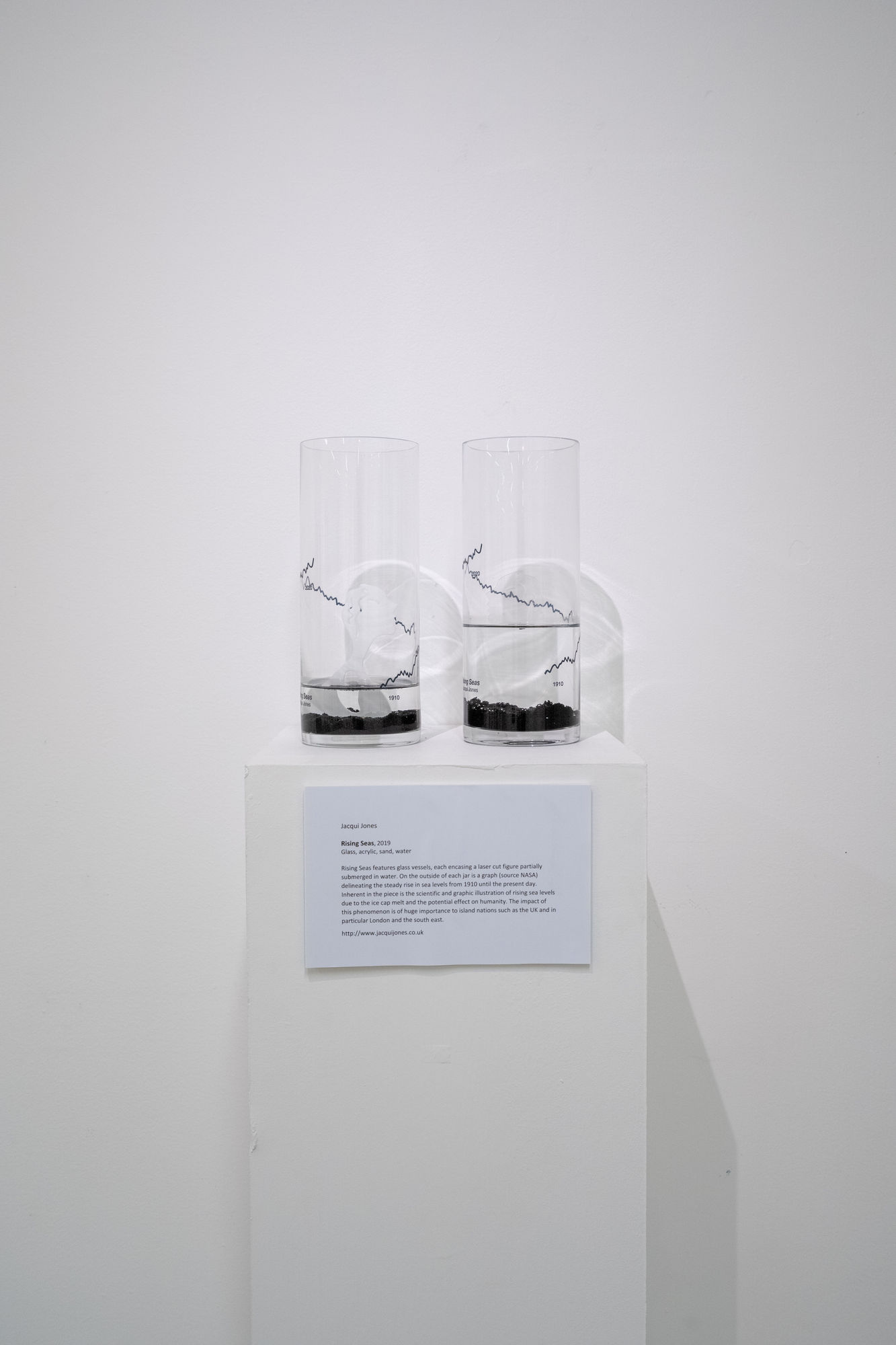 Jacqui Jones 'Rising Seas'