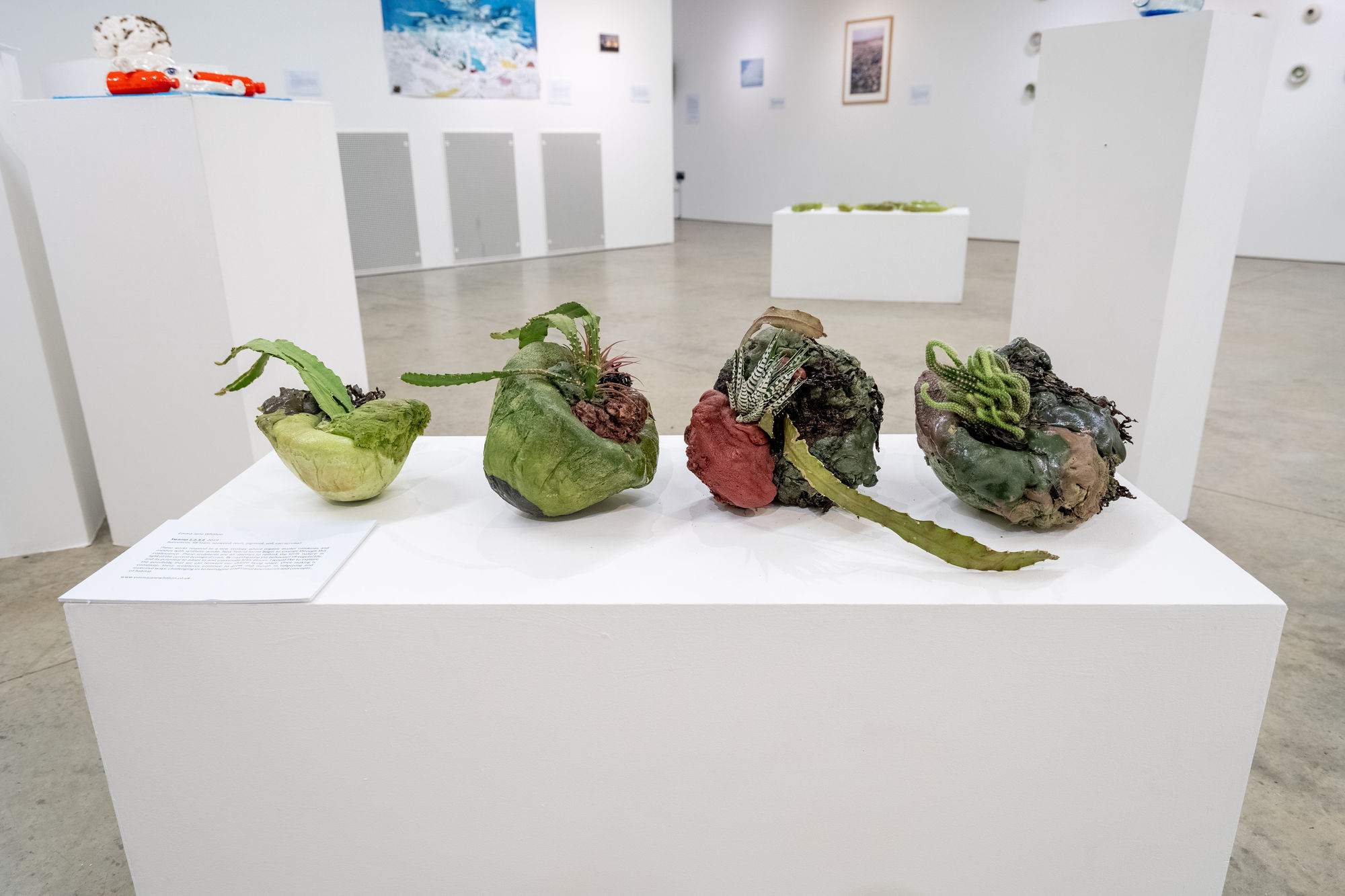 Emma Jane Whitton 'Swamp 1-4'