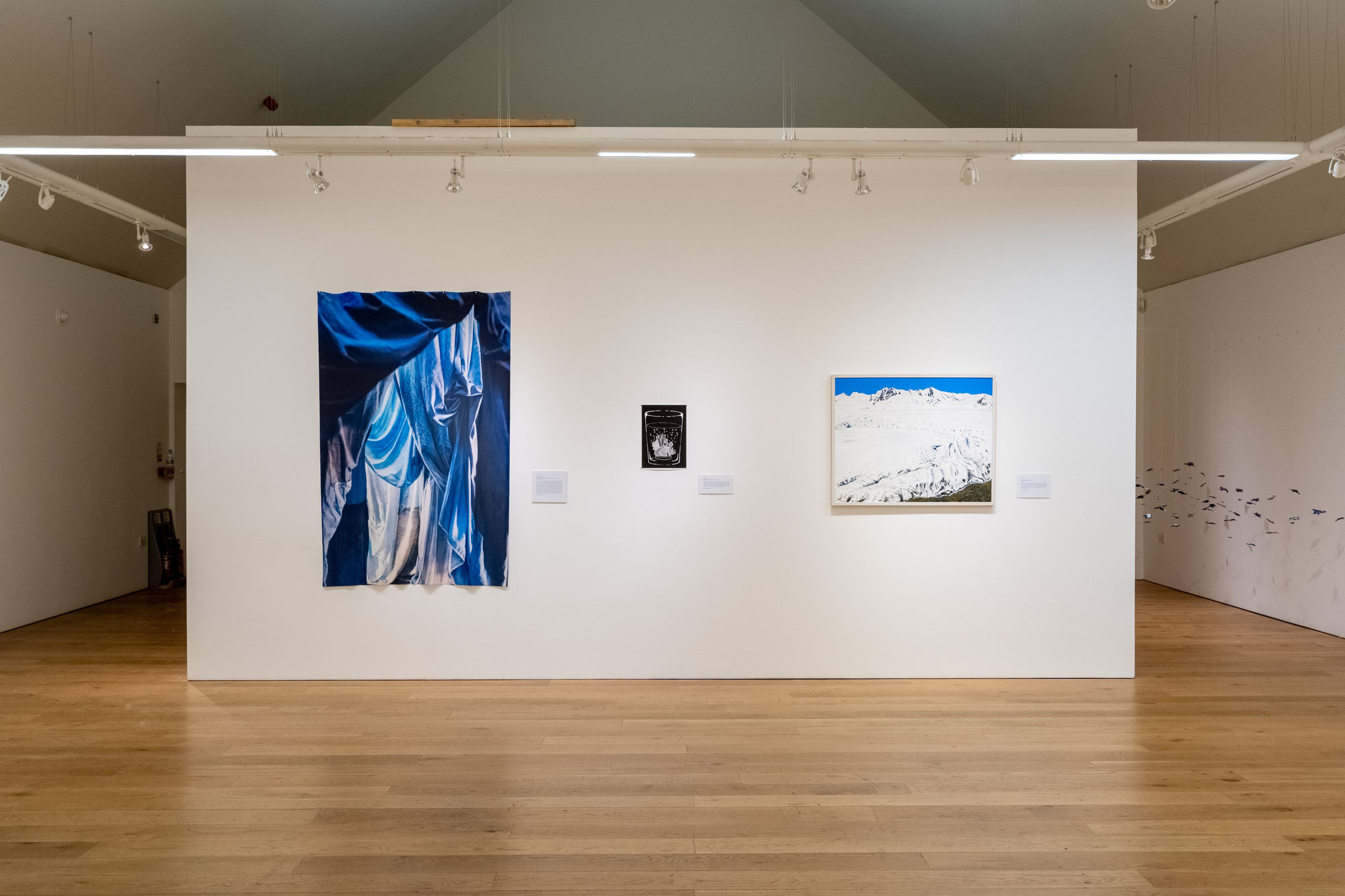 Environmental Crisis