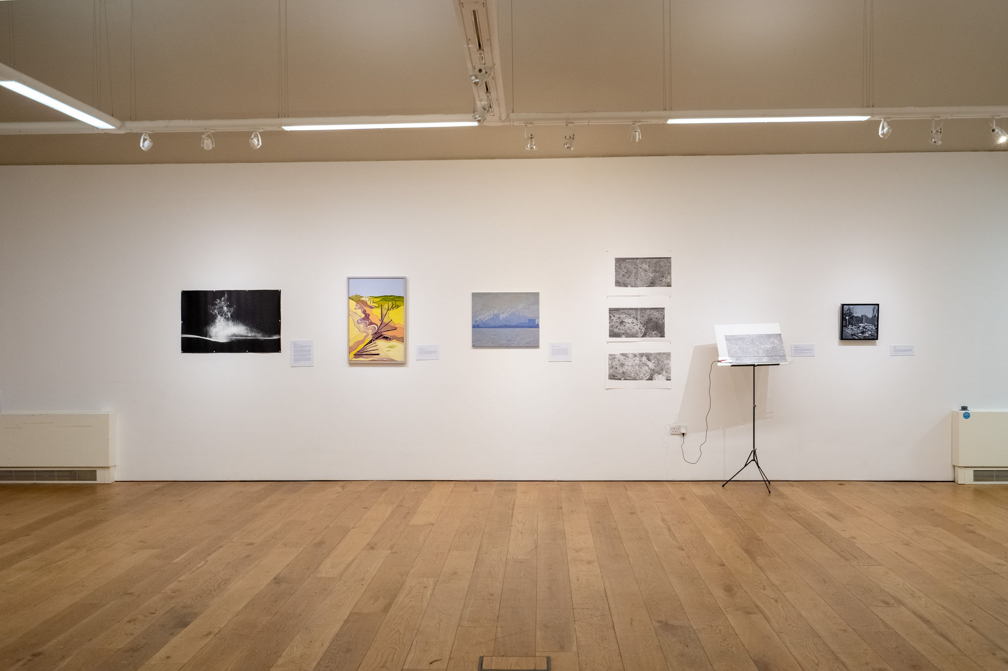 Environmental Crisis