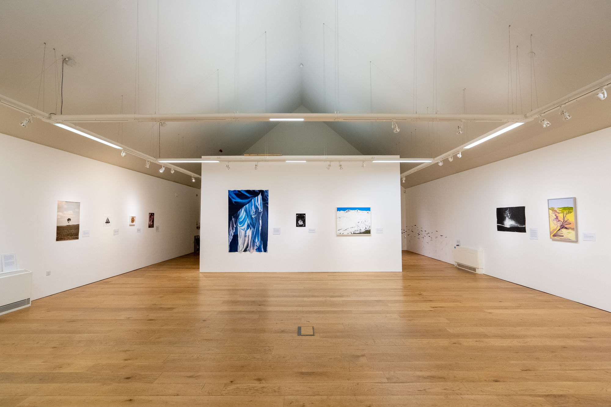 Environmental Crisis