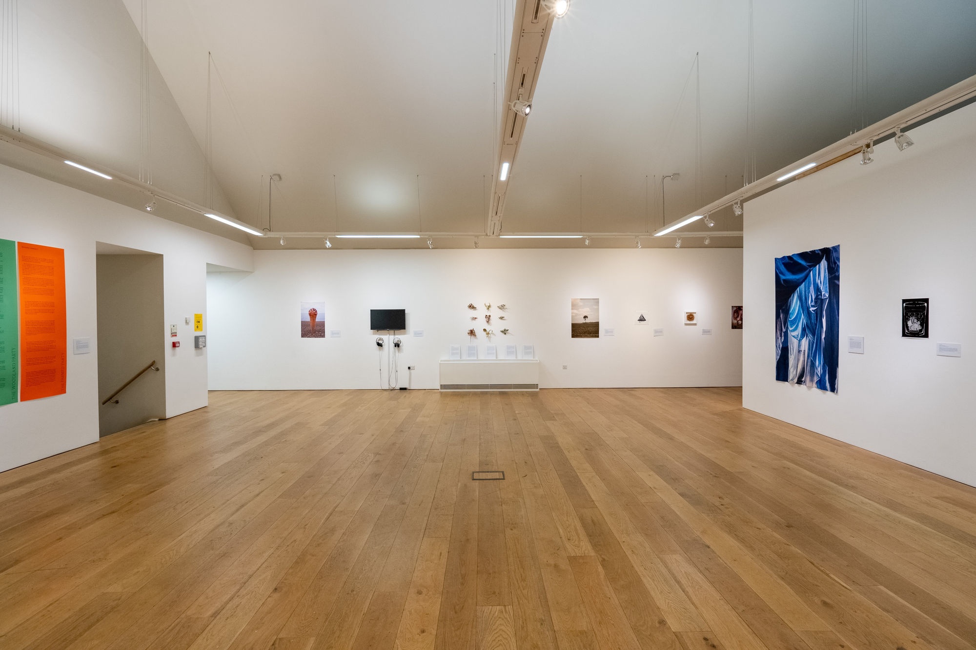 Environmental Crisis