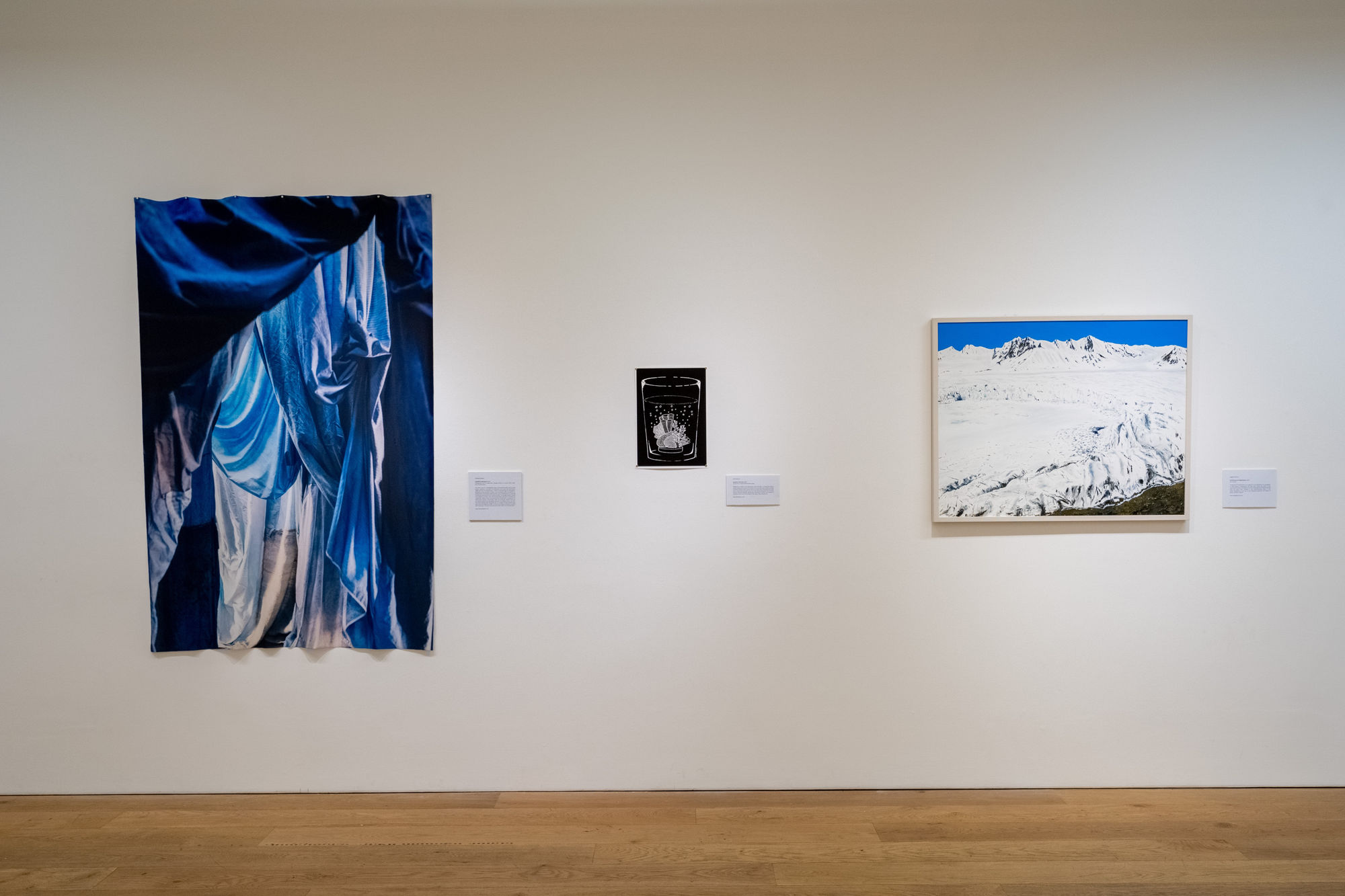 Environmental Crisis