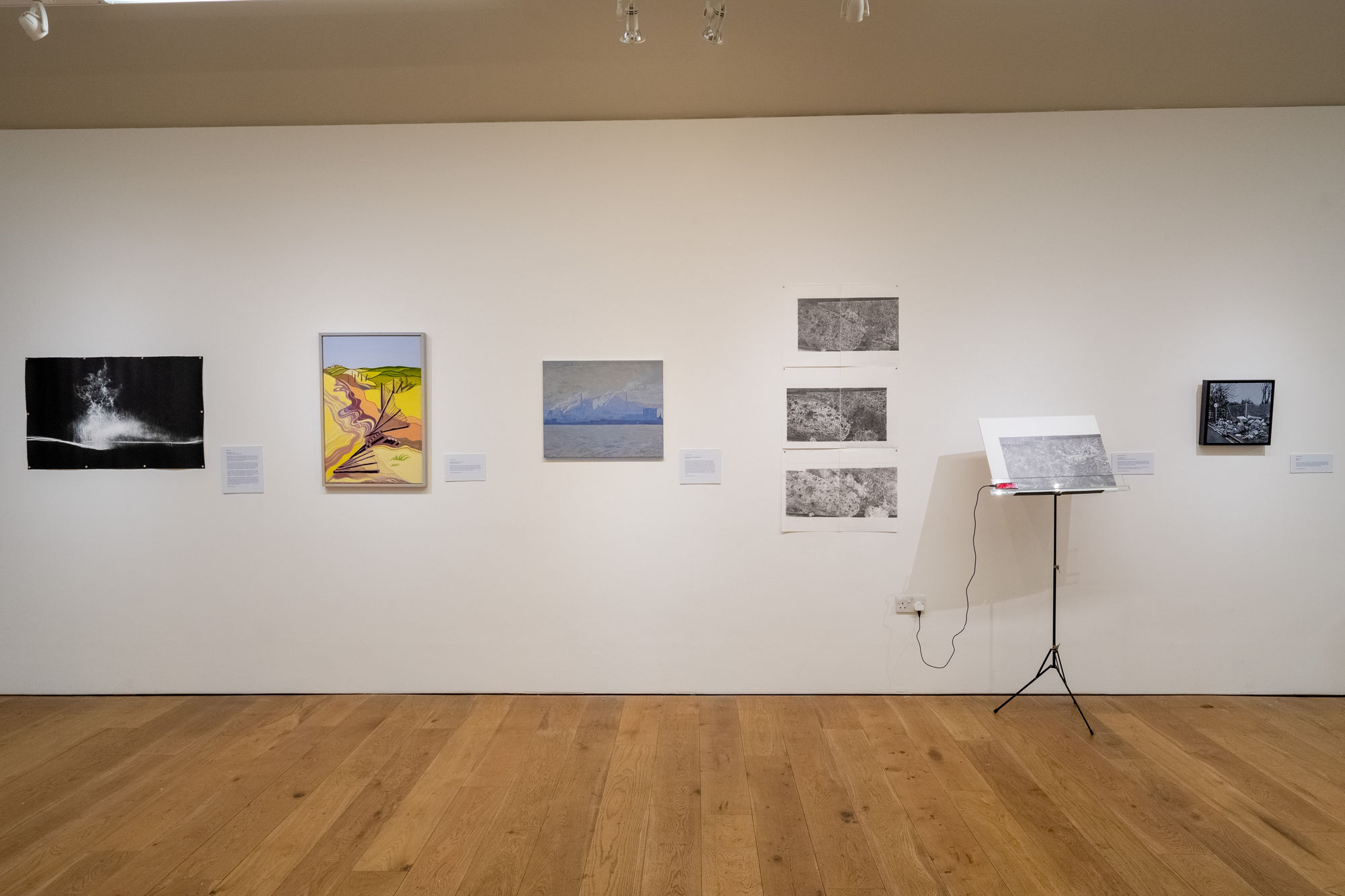 Environmental Crisis