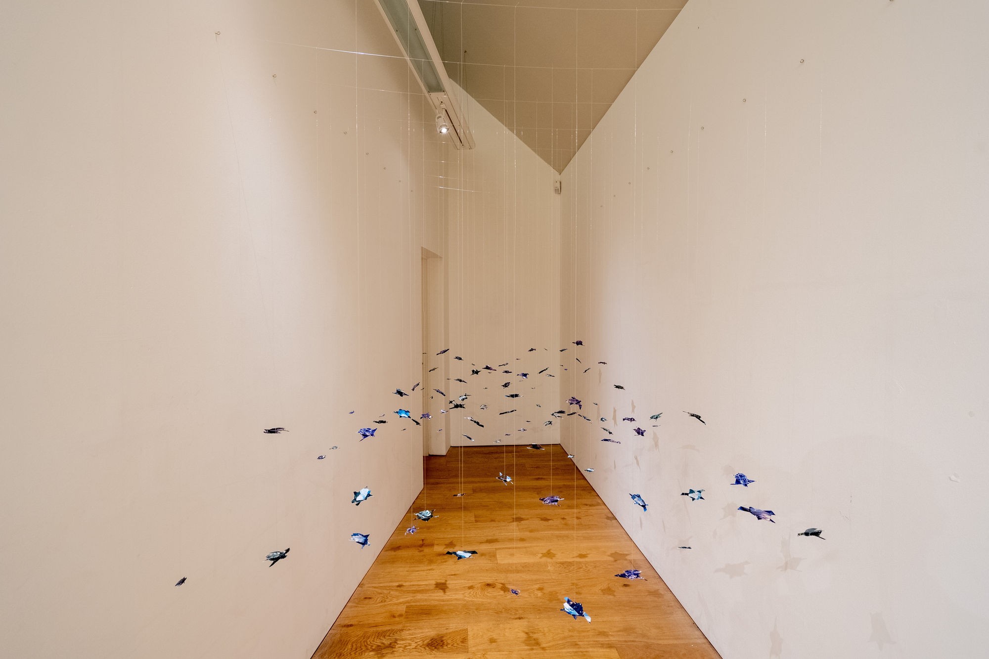 Chloe Cox 'Single Use Ocean'