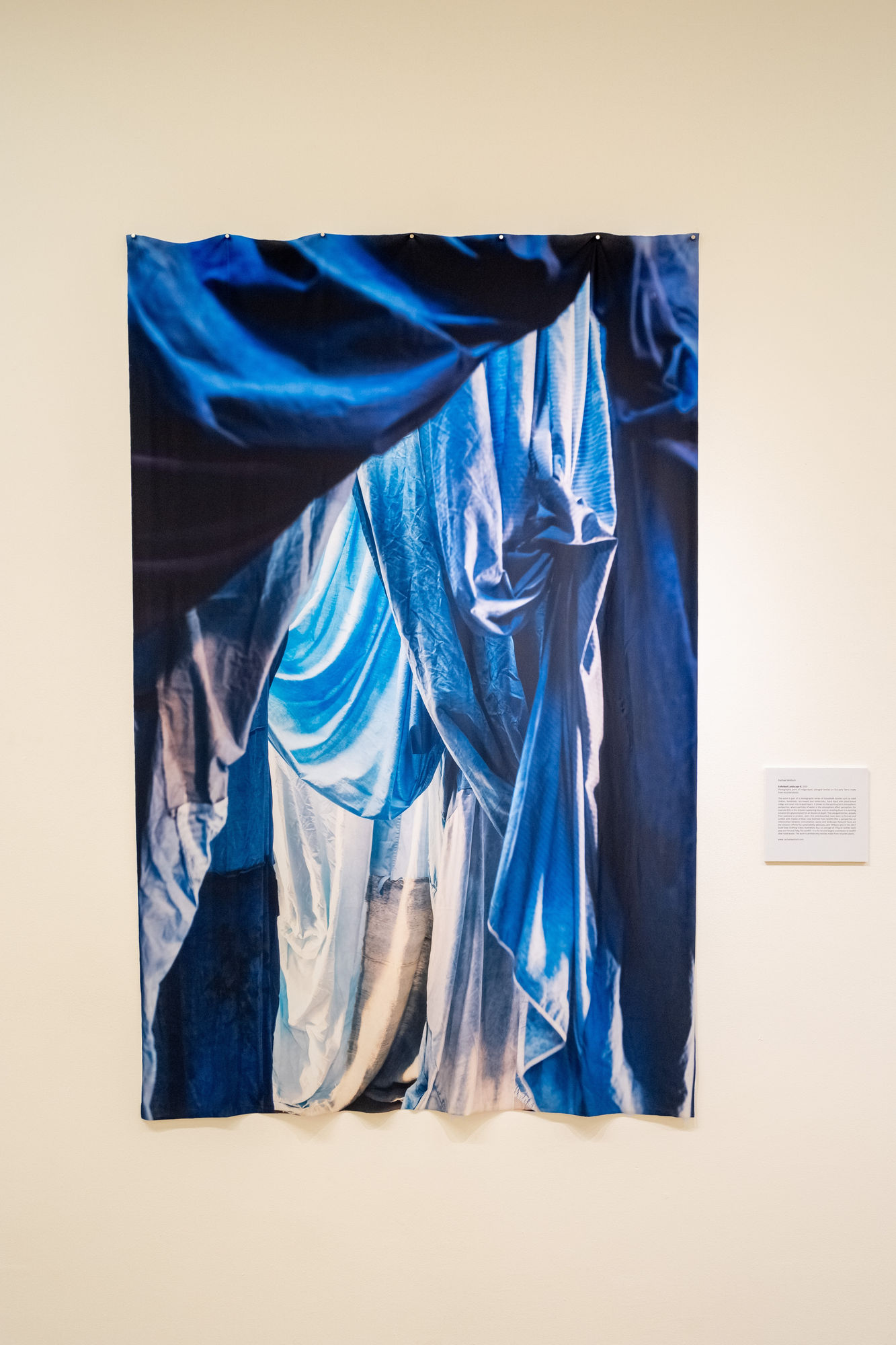 Rachael Wellisch 'Enfolded Landscape #8'