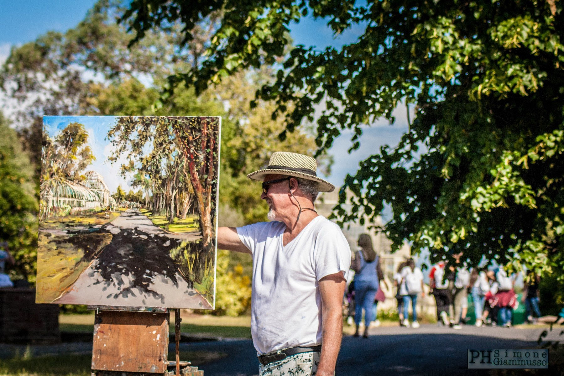 26 JUNE 2018 NATIONAL BOTANIC GARDENS OF IRELAND, DUBLIN Summer Shadows at Botanic Gardens photo: Simone Giammusso