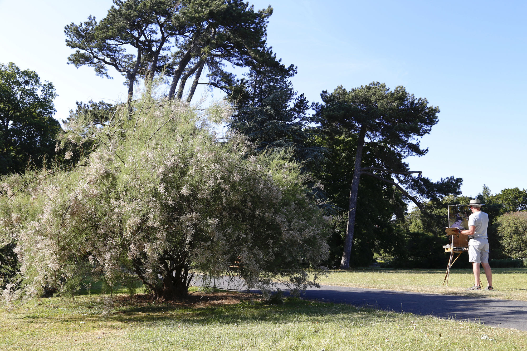 28 JUNE 2018 NATIONAL BOTANIC GARDENS OF IRELAND, DUBLIN After Hours photo: Agata Byrne