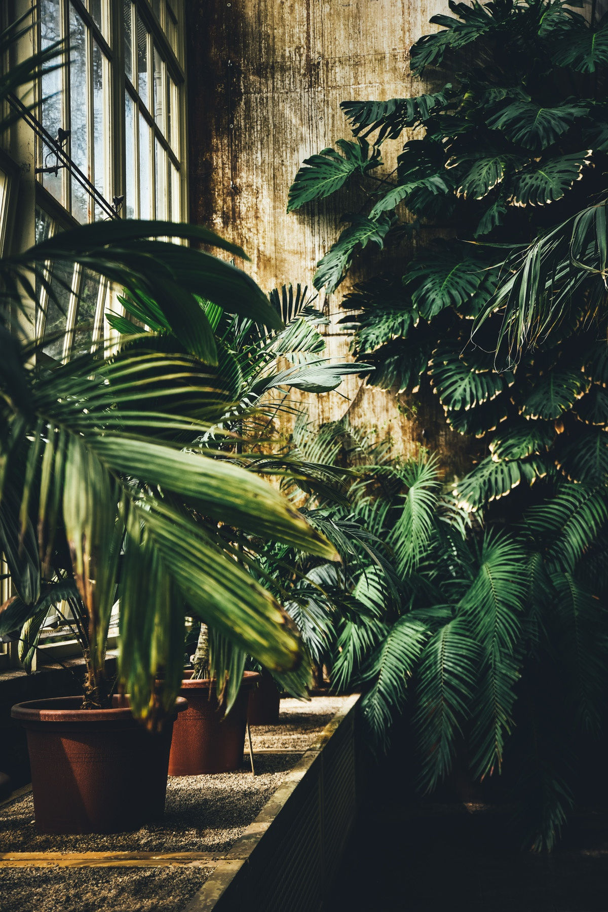 23 APRIL 2019 NATIONAL BOTANIC GARDENS OF IRELAND, DUBLIN photo: Claudia Chiaro Photography