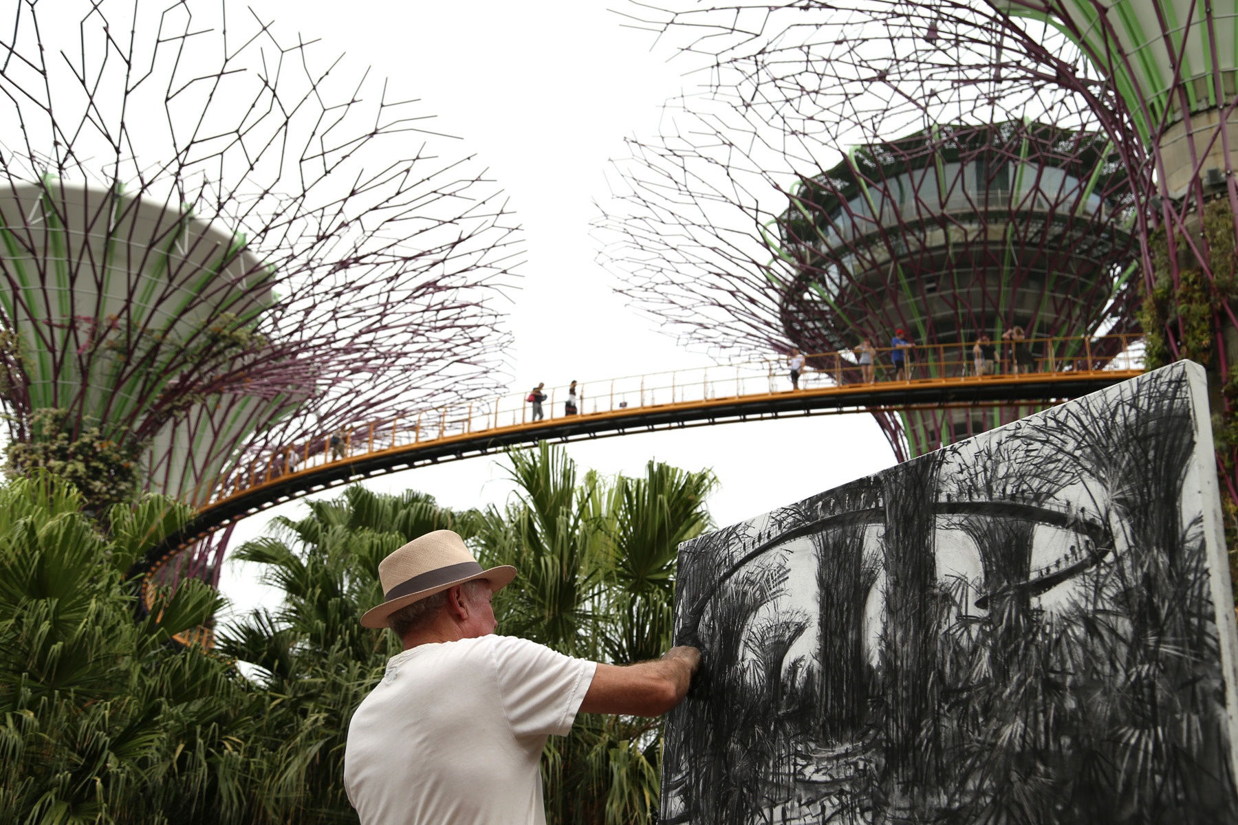 23 SEPTEMBER 2019 GARDENS BY THE BAY, SINGAPORE Supertree Grove photo: Agata Byrne