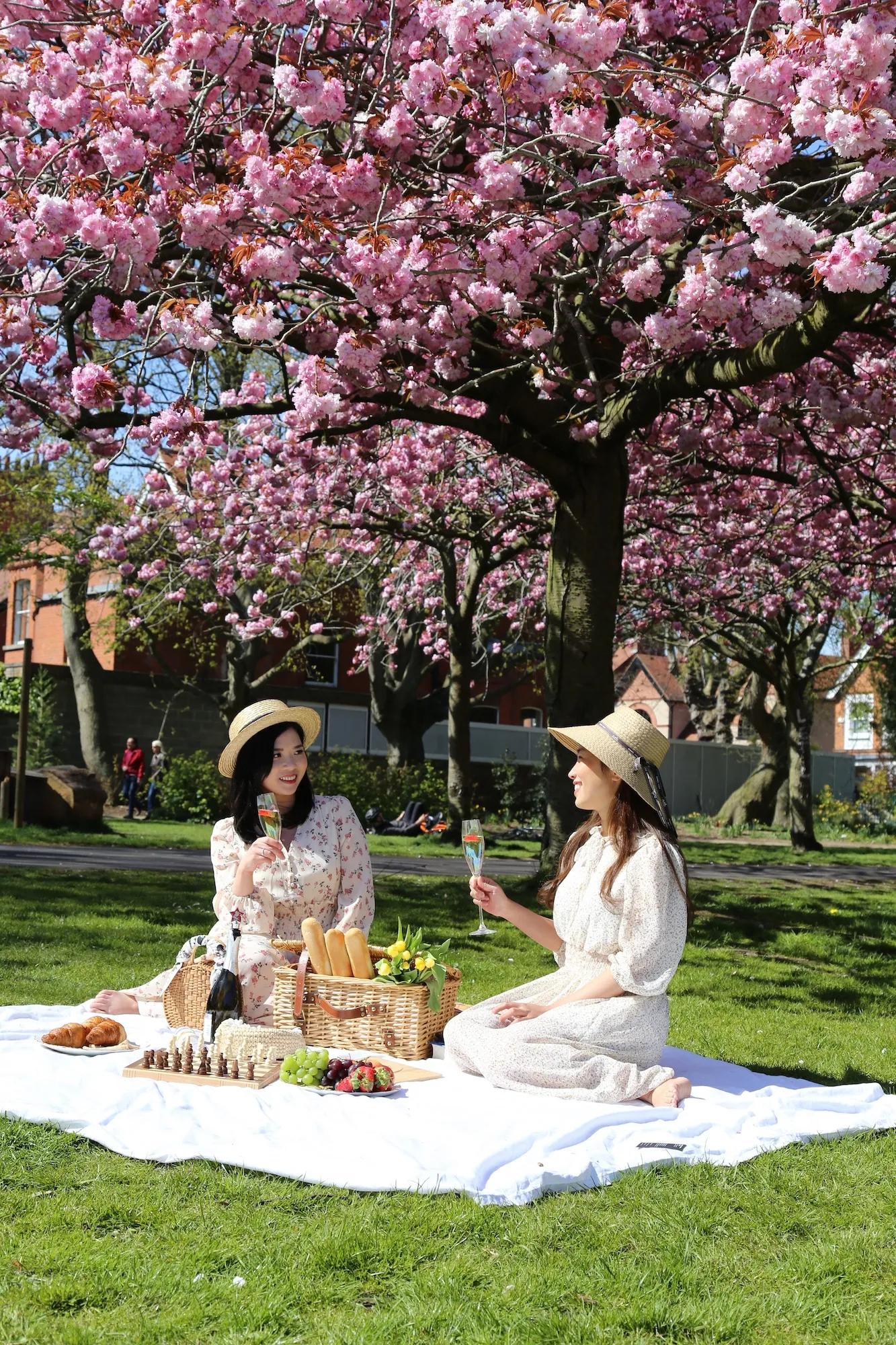 17 APRIL 2021 HERBERT PARK, DUBLIN Spring is Here! Herbert Park photo: Agata Byrne