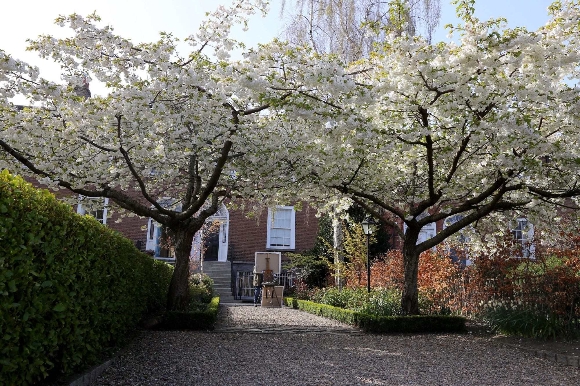 29 MARCH 2021 61 WELLINGTON ROAD, DUBLIN The Secret Garden photo: Agata Byrne