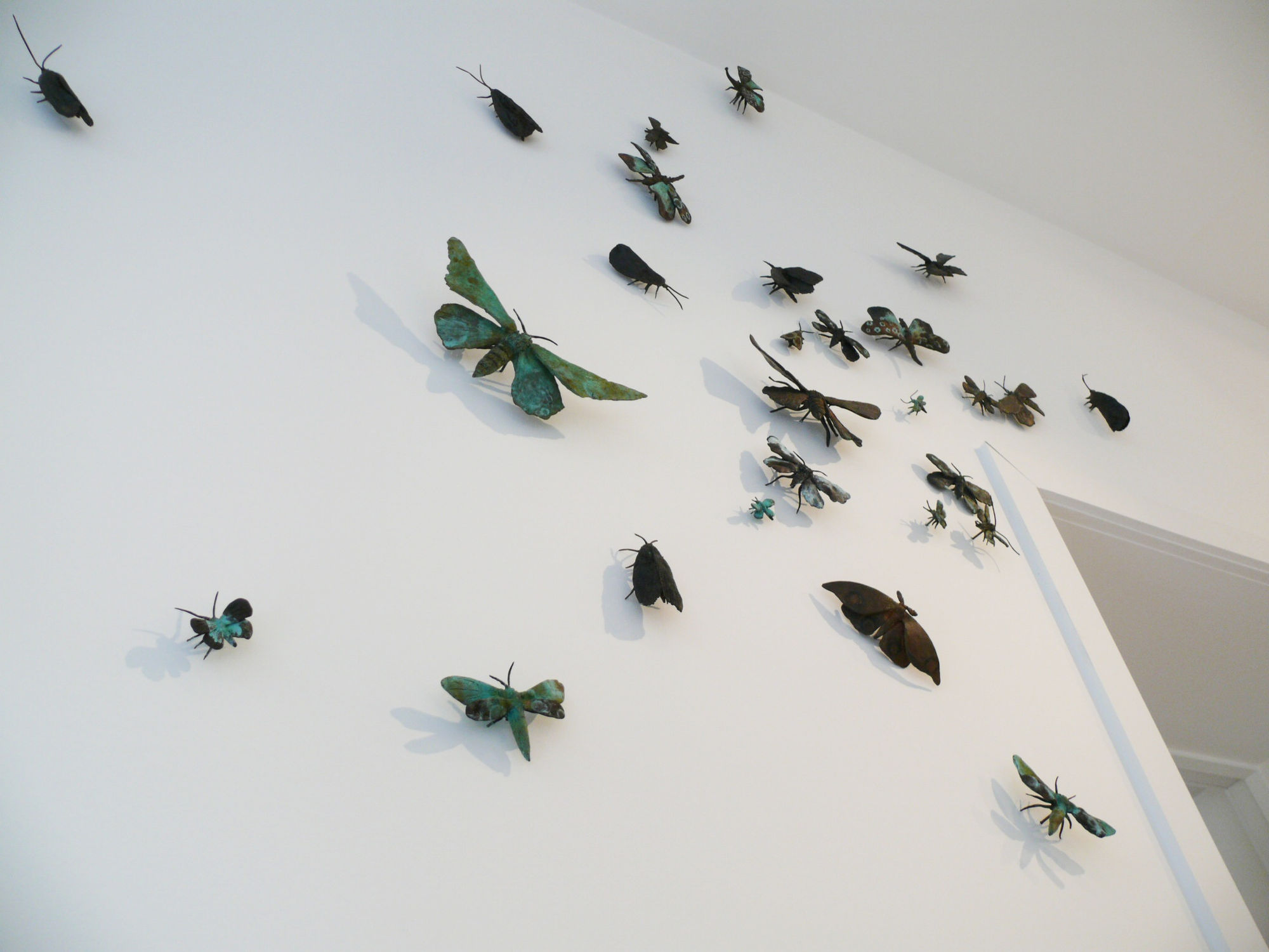 Spring Catalogue 2011