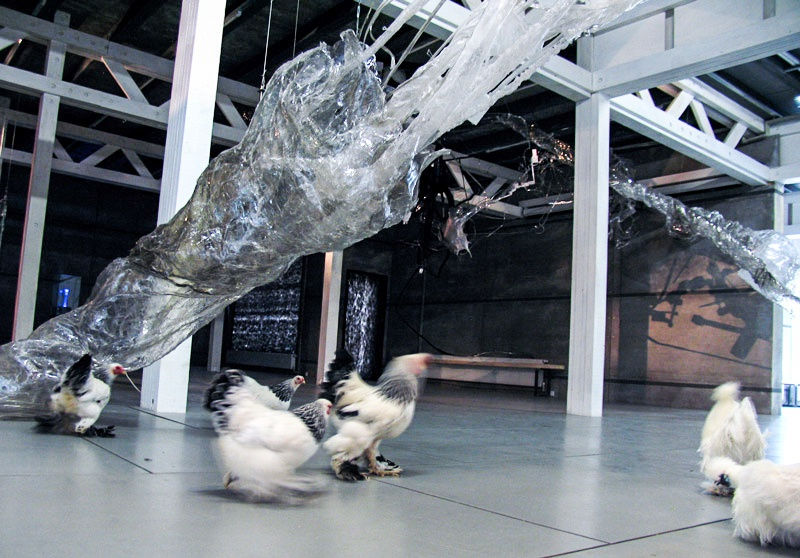 Dmitry Kawarga. Kulik's Hair