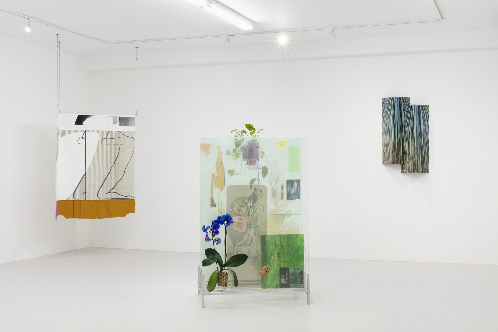 Letha Wilson, Sonia Almeida, Heidi Norton, Claudia Peña Salinas