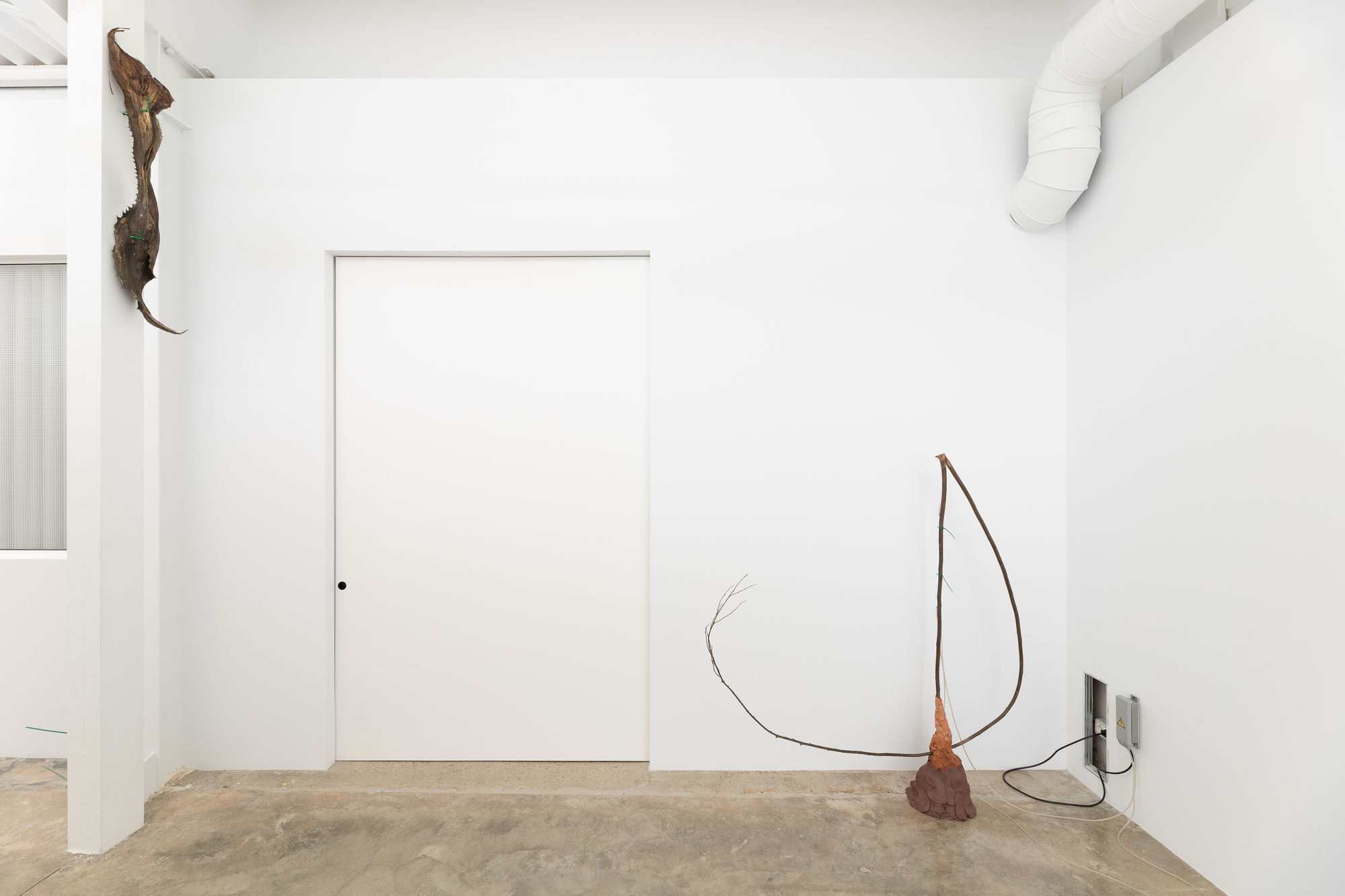 Saskia Noor Van Imhoff