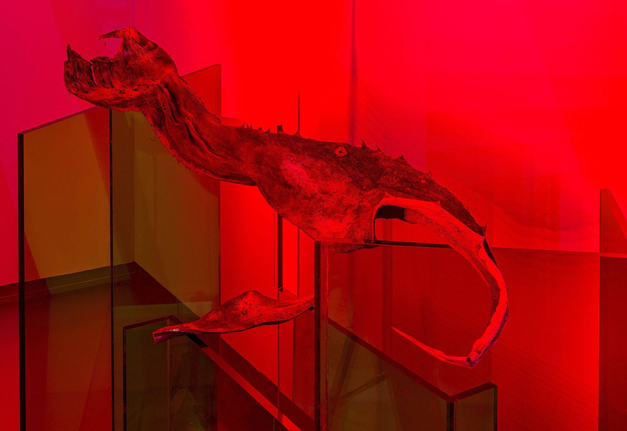 Saskia Noor van Imhoff