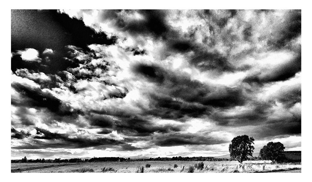 William Dalrymple, Untitled, 2016